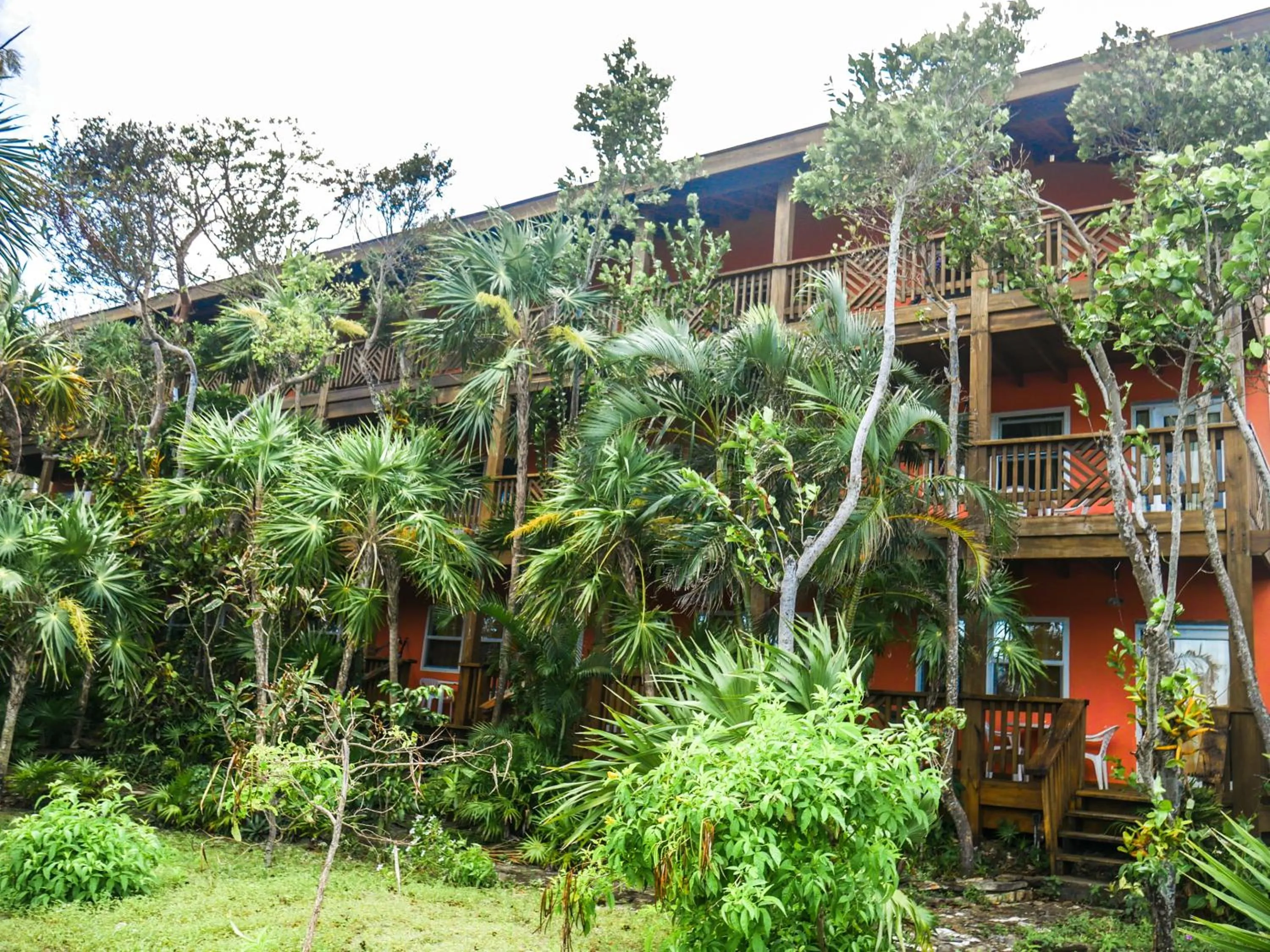 Property building in Hotel Posada Las Orquídeas,West End