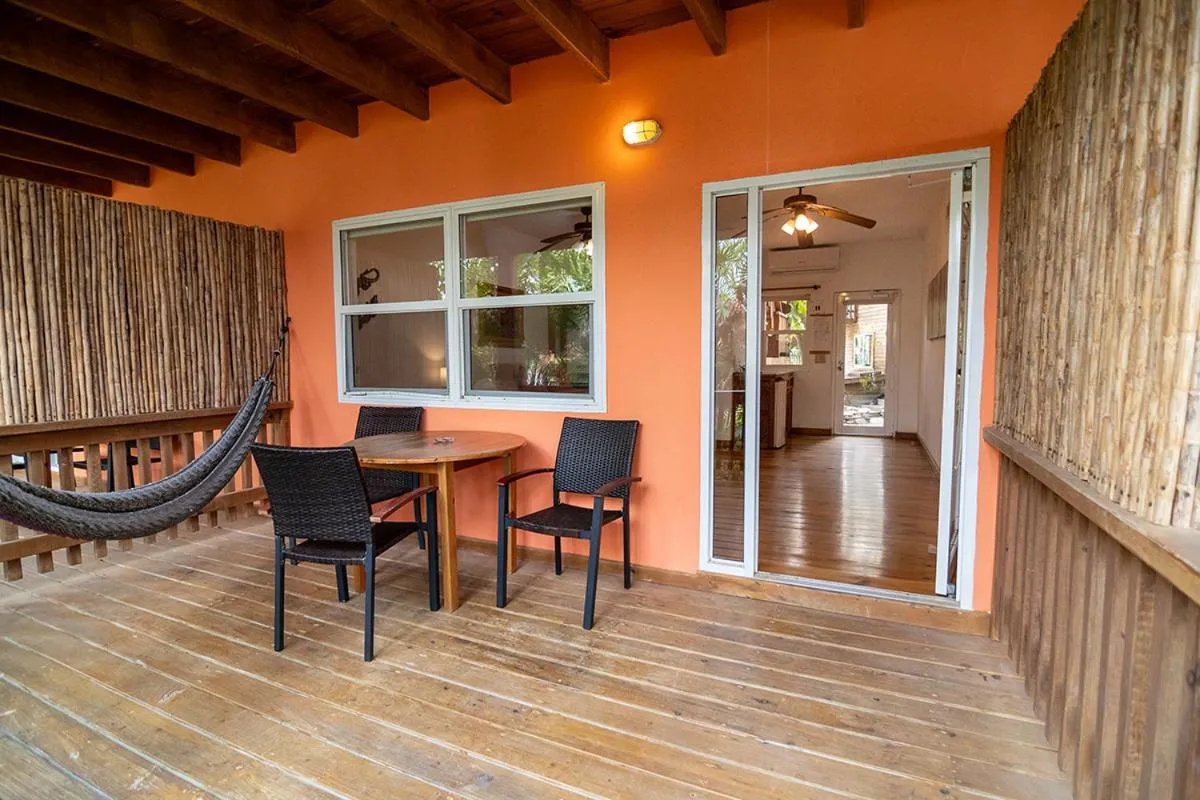 Balcony/Terrace in Hotel Posada Las Orquídeas,West End