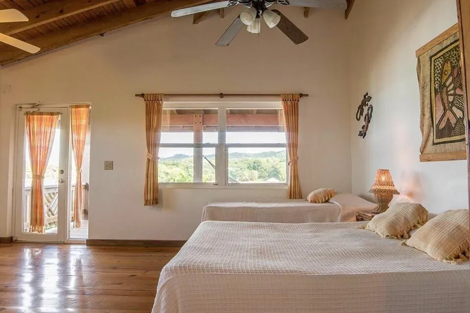 Photo of the whole room, Bed in Hotel Posada Las Orquídeas,West End