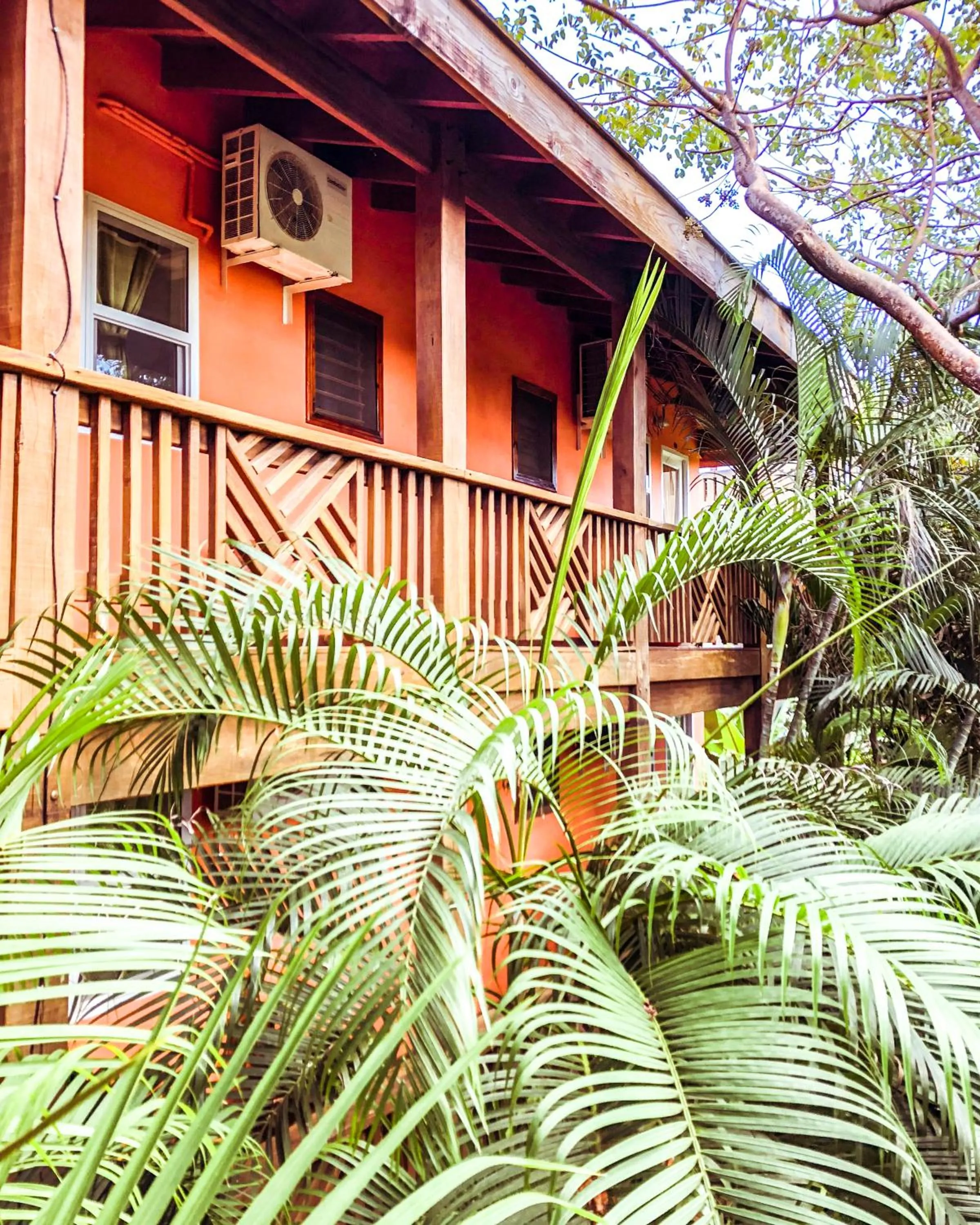Property building in Hotel Posada Las Orquídeas,West End