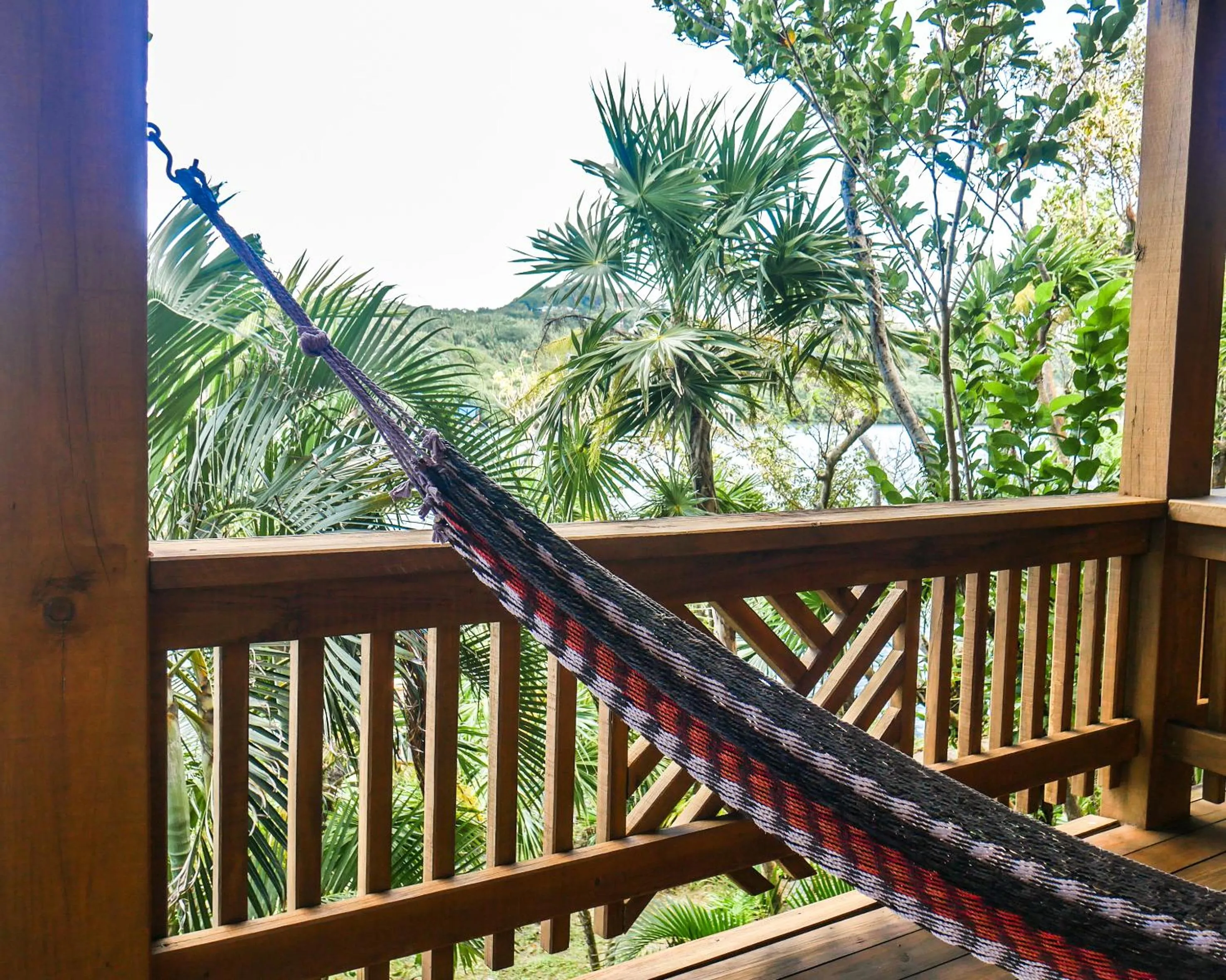 Balcony/Terrace in Hotel Posada Las Orquídeas,West End