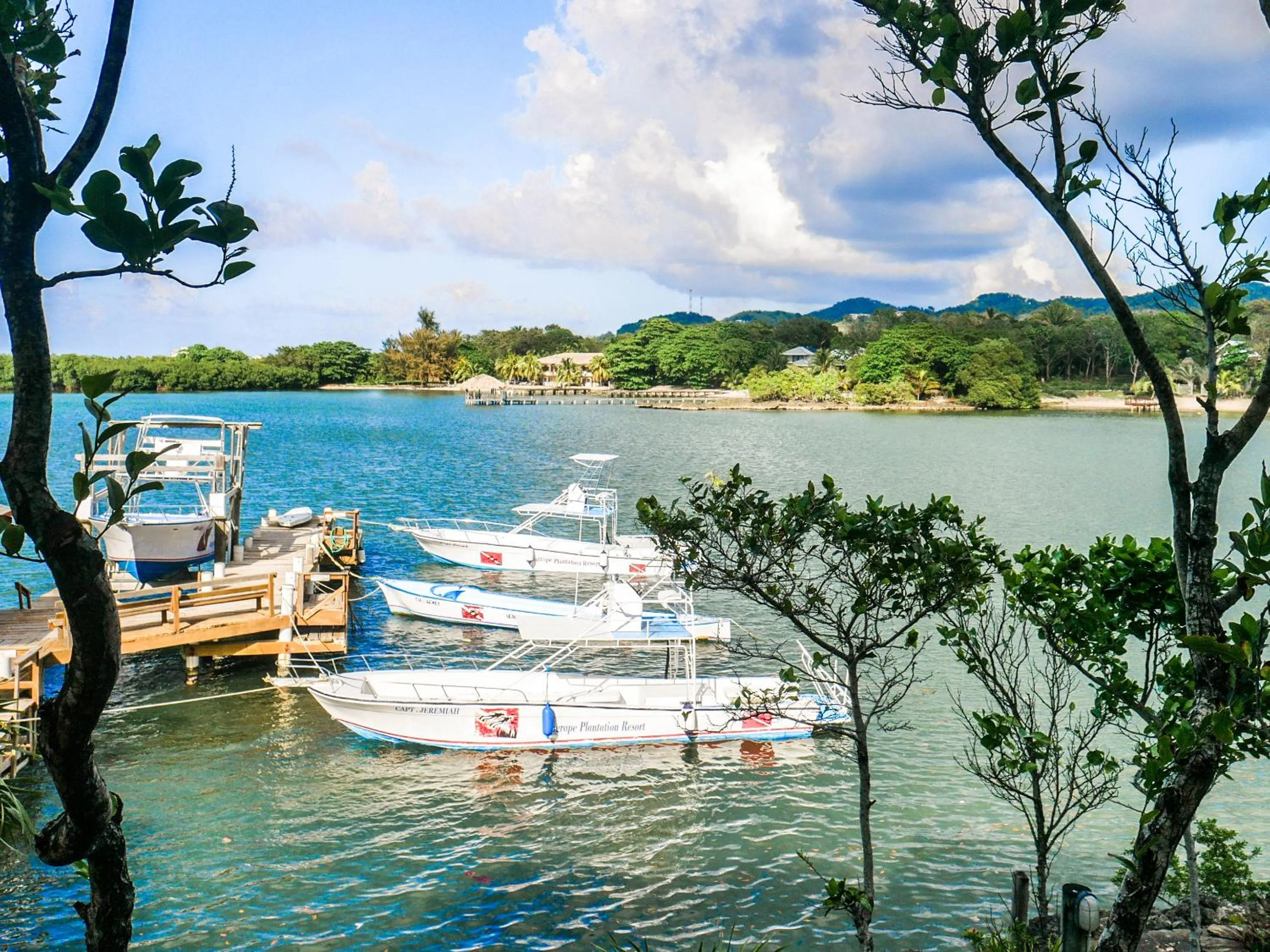Natural landscape in Hotel Posada Las Orquídeas,West End