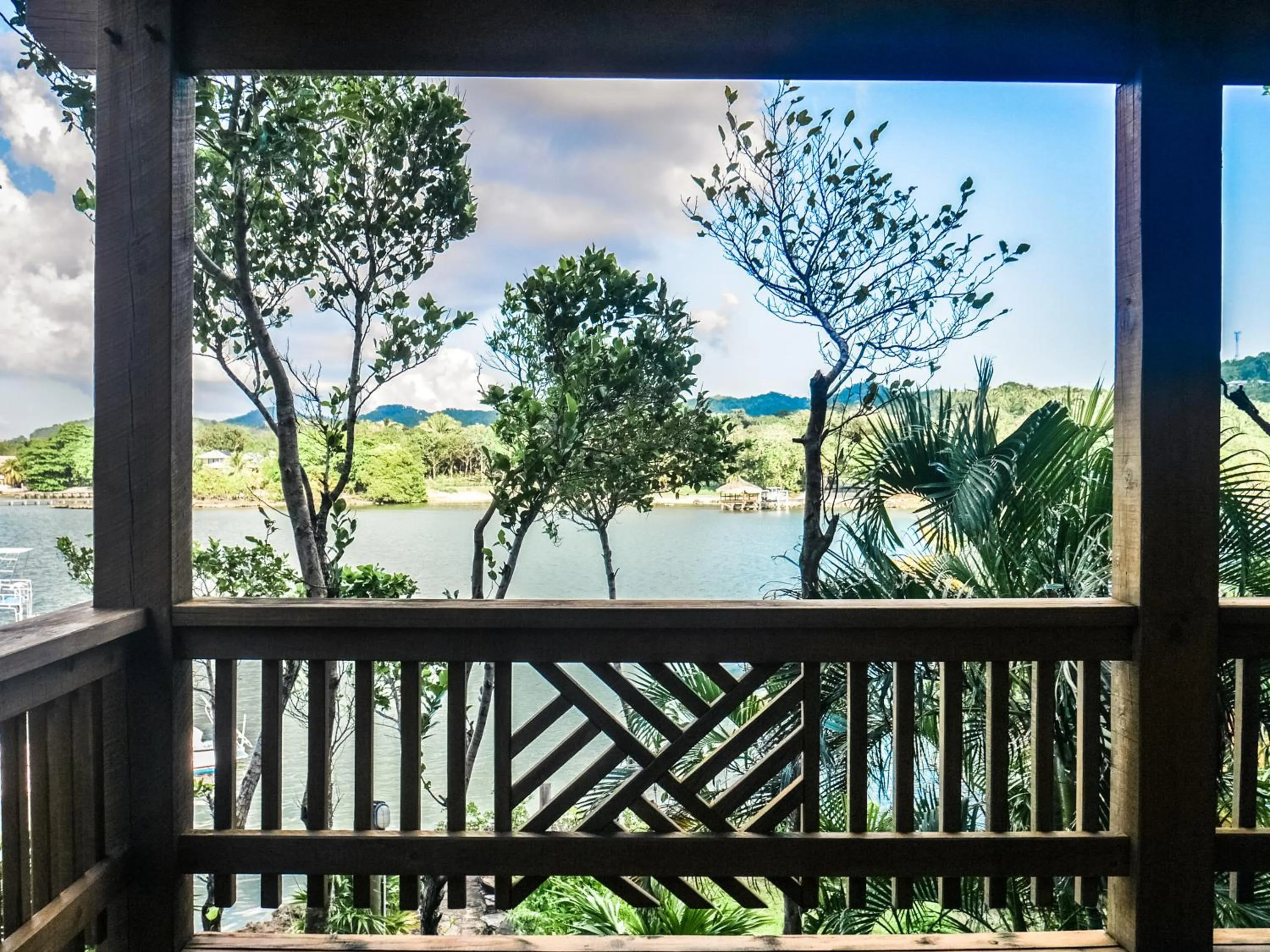 Balcony/Terrace in Hotel Posada Las Orquídeas,West End