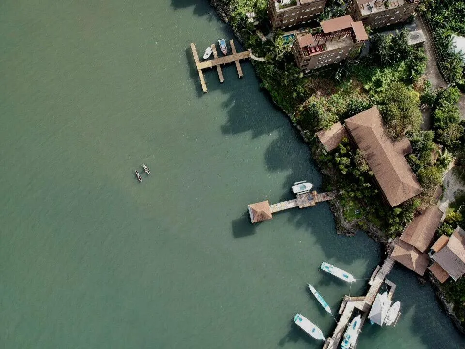 Natural landscape in Hotel Posada Las Orquídeas,West End