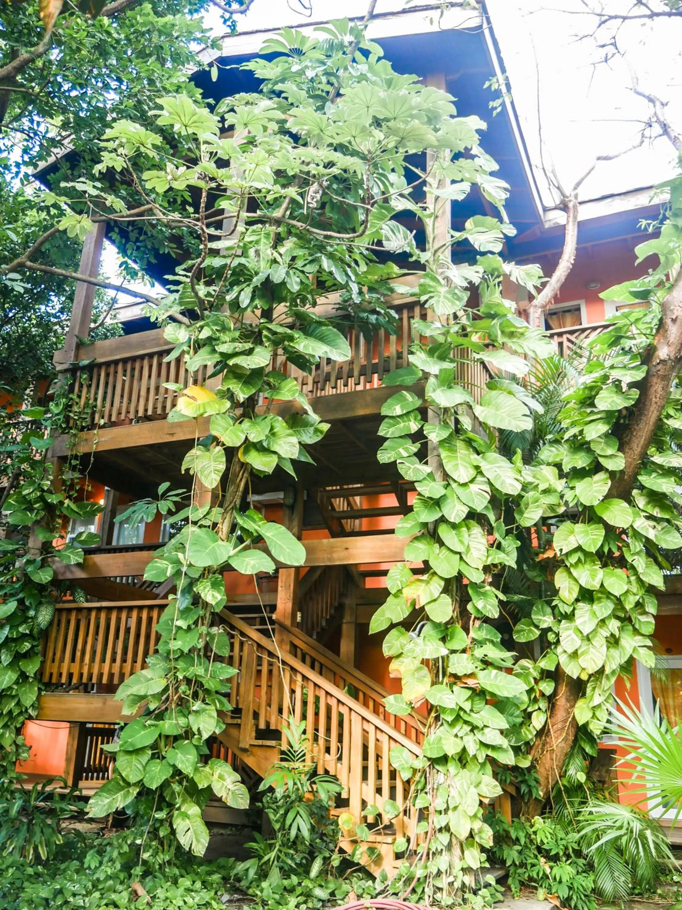 Property building in Hotel Posada Las Orquídeas,West End