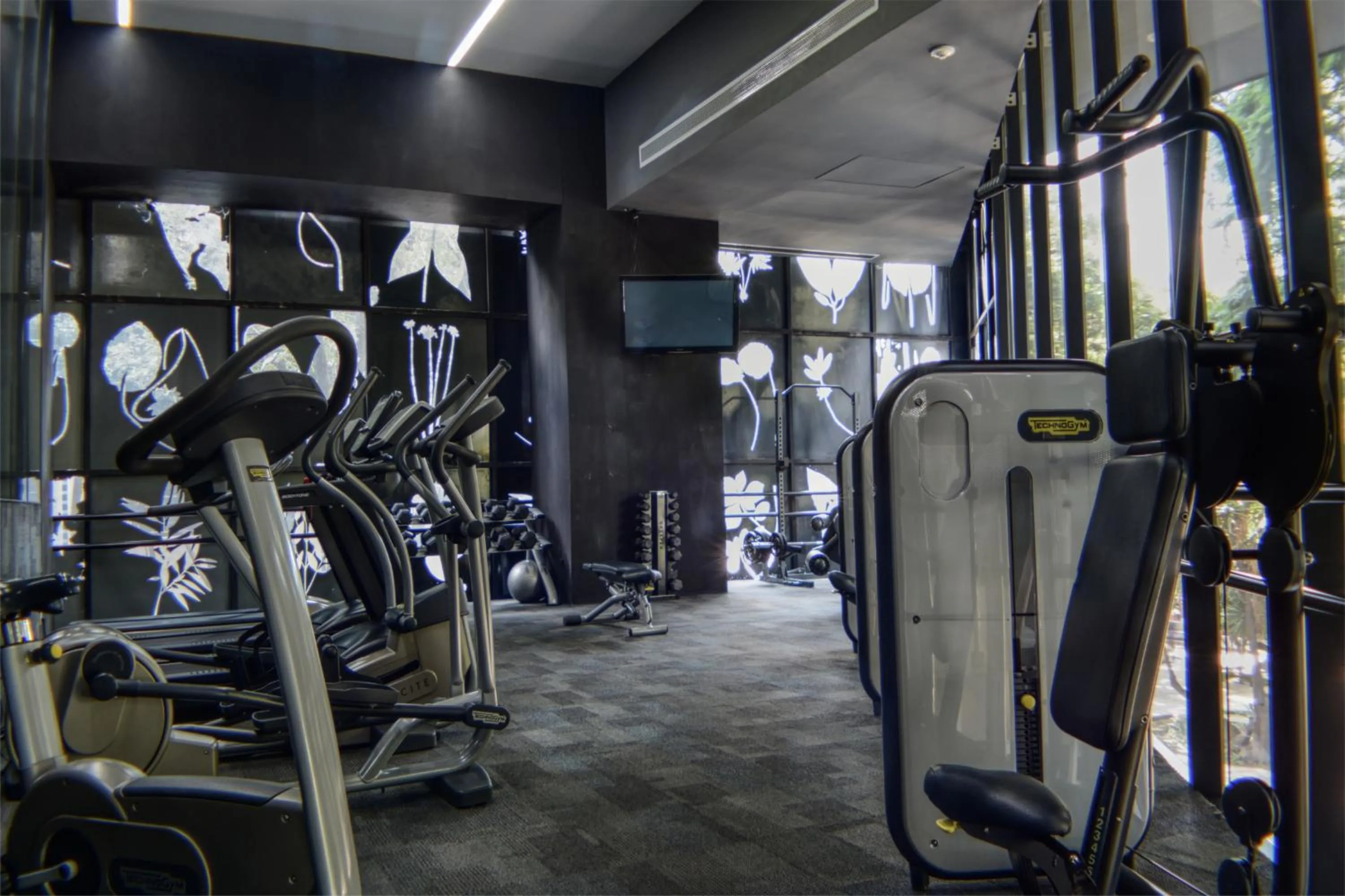 Reforma 284 King Size SUITE Swimming Pool, Parking & Kitchen