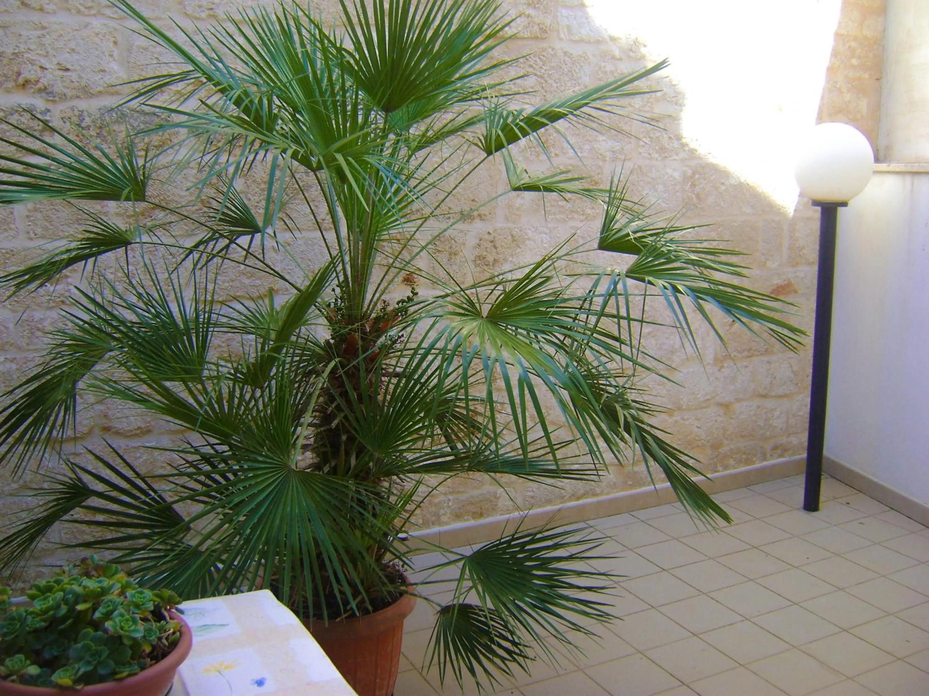 Patio in B&B Aquila