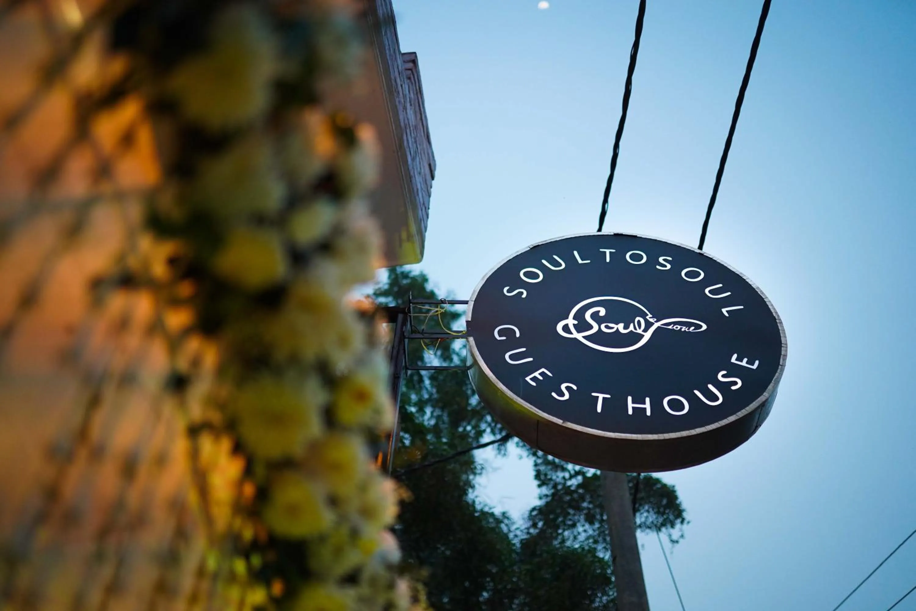 Property logo or sign in SoultoSoul Guesthouse