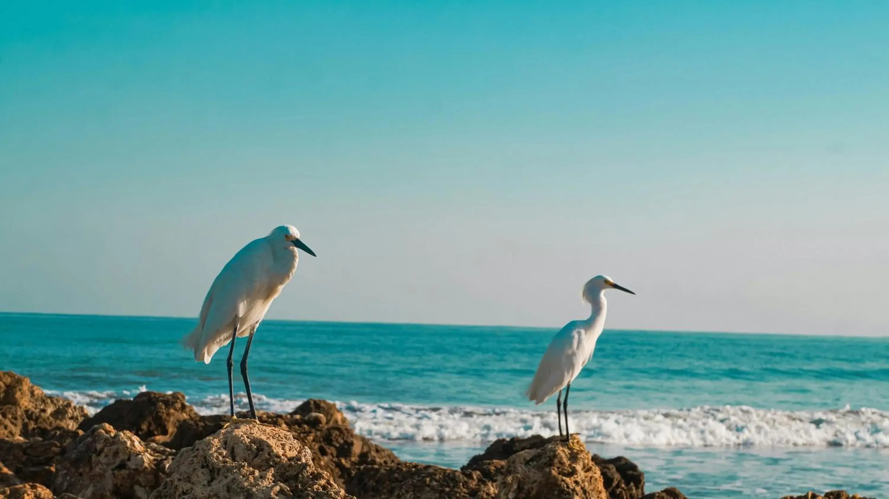 View (from property/room) in Hotel InterContinental Cartagena by IHG View (from property/room) in Hotel InterContinental Cartagena by IHG