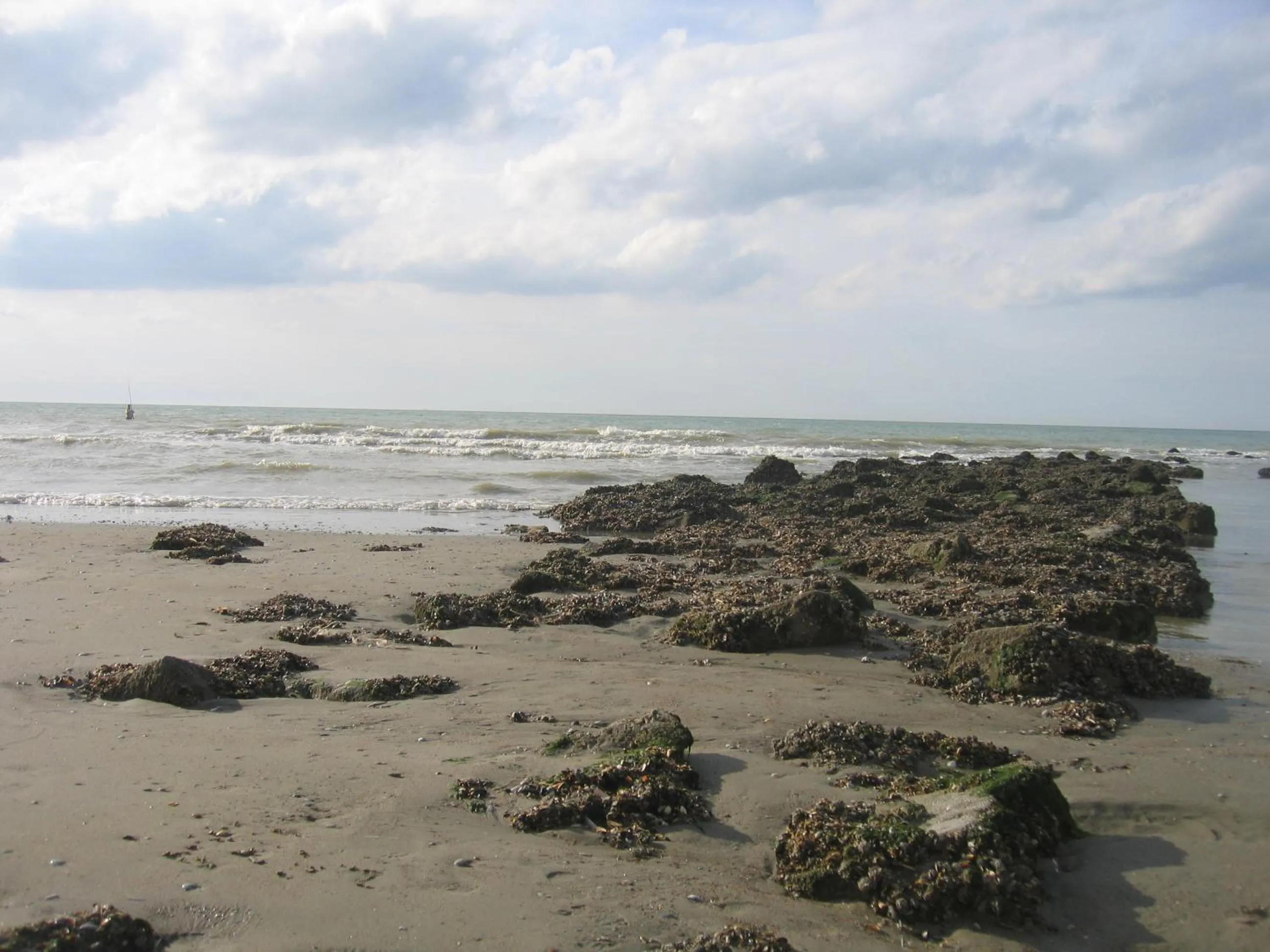 Beach in Koksijde l'Abbaye