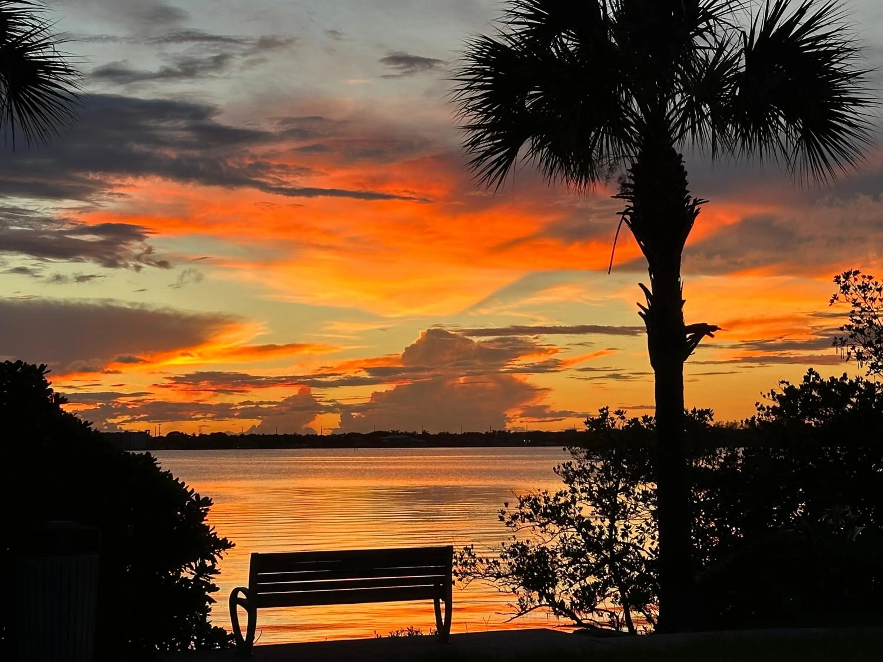 Natural landscape in Sand Dune Shores