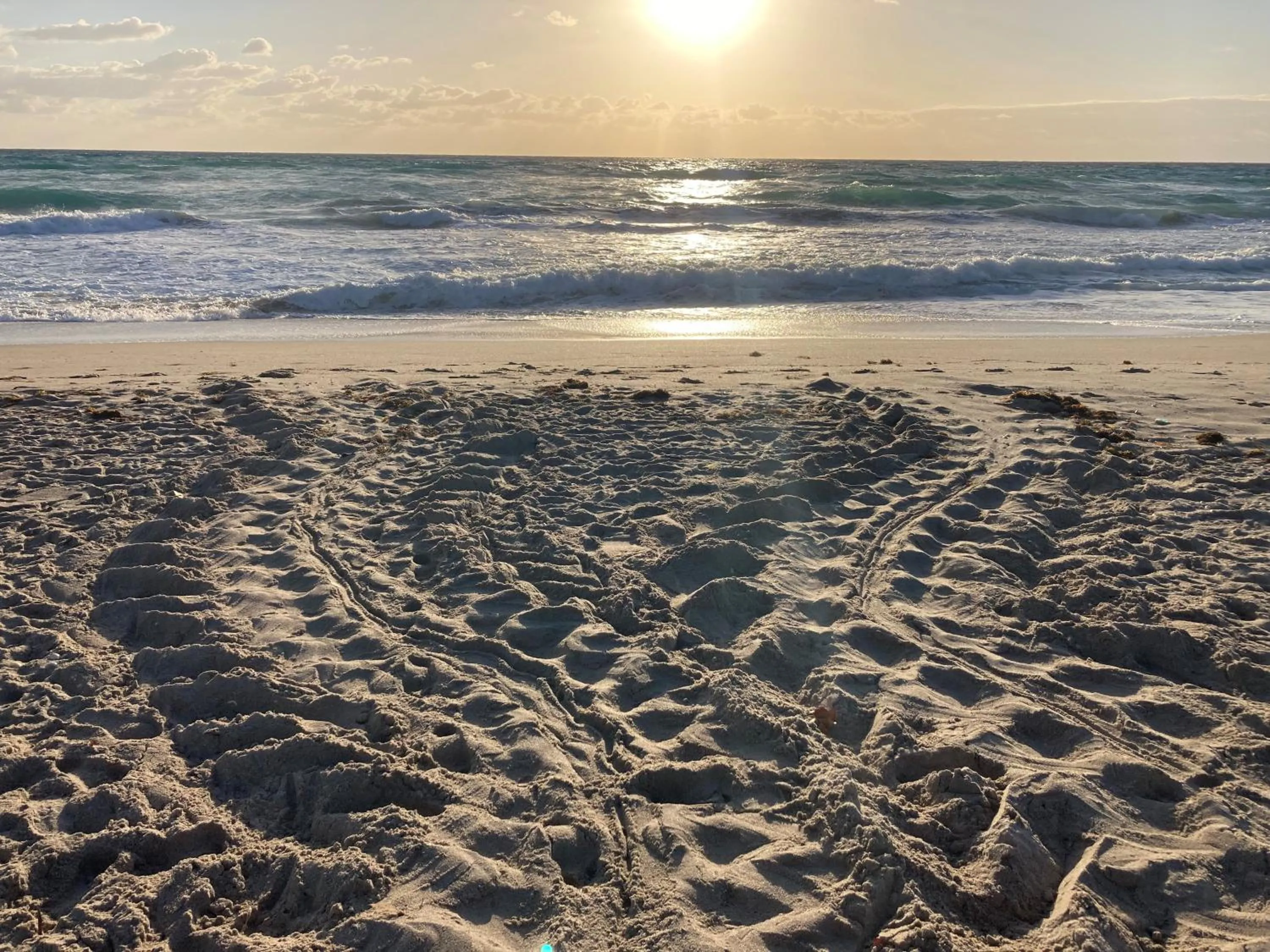 Day in Sand Dune Shores