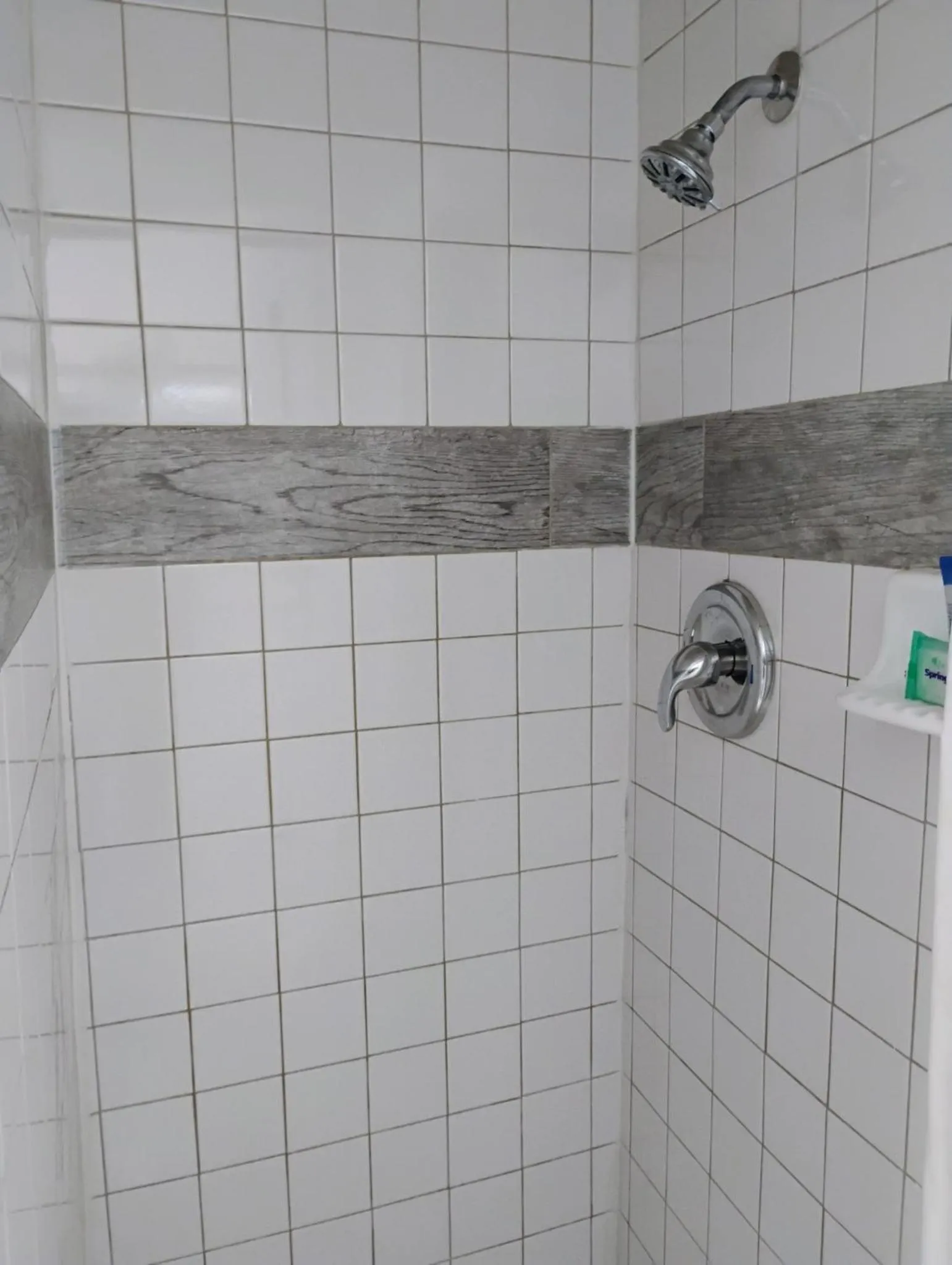 Shower in True North Motel