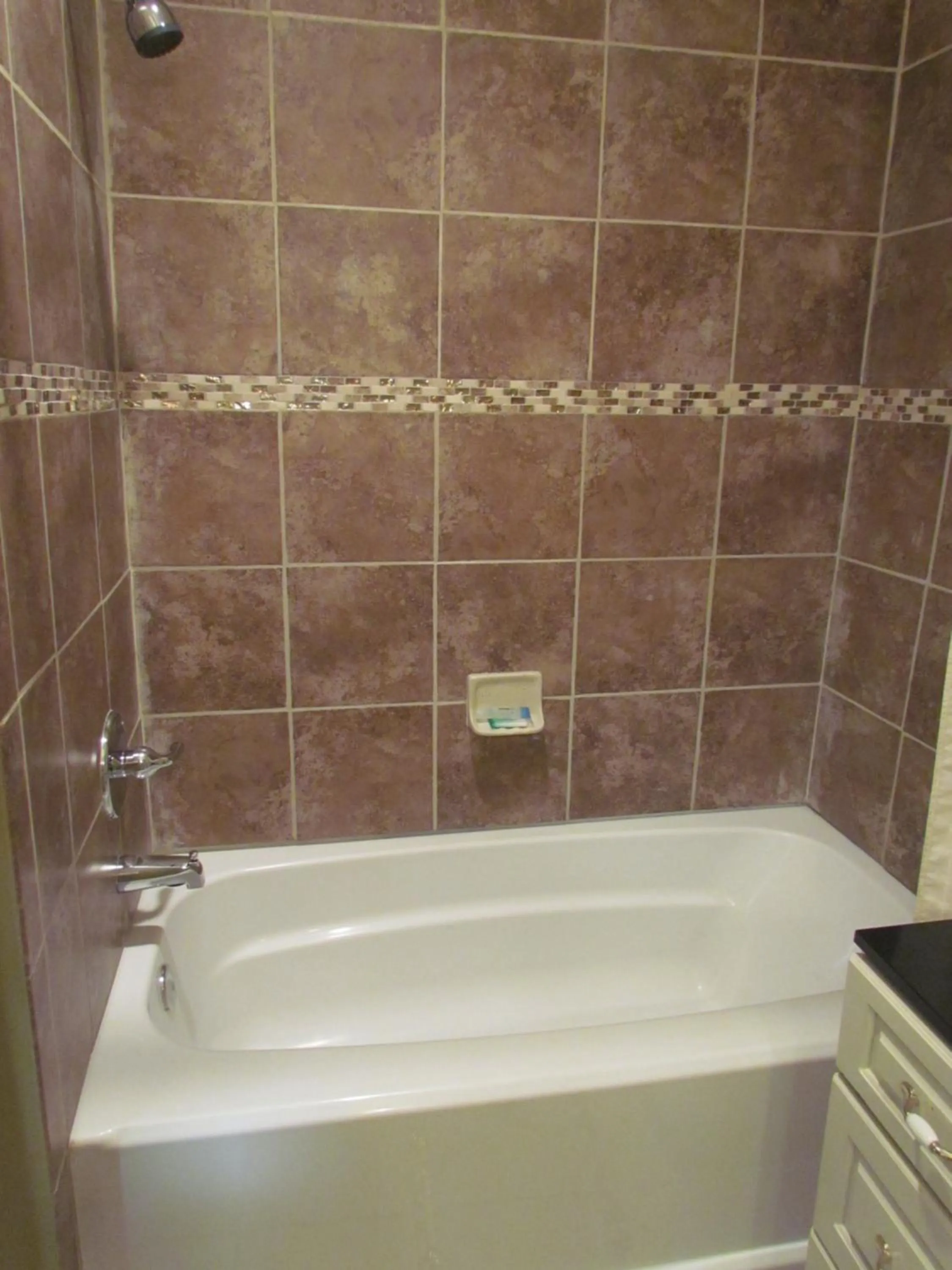 Shower in True North Motel