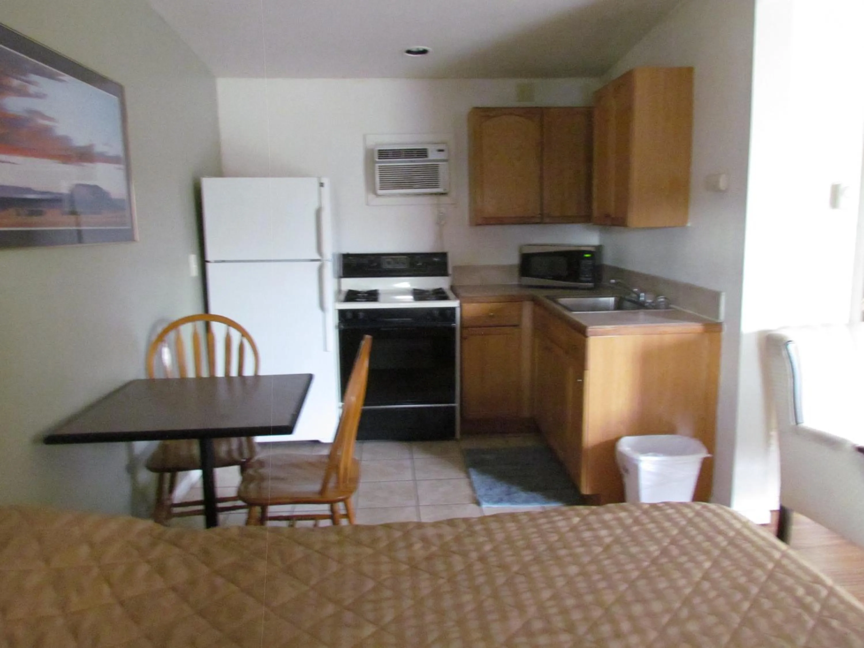 Kitchen or kitchenette in True North Motel