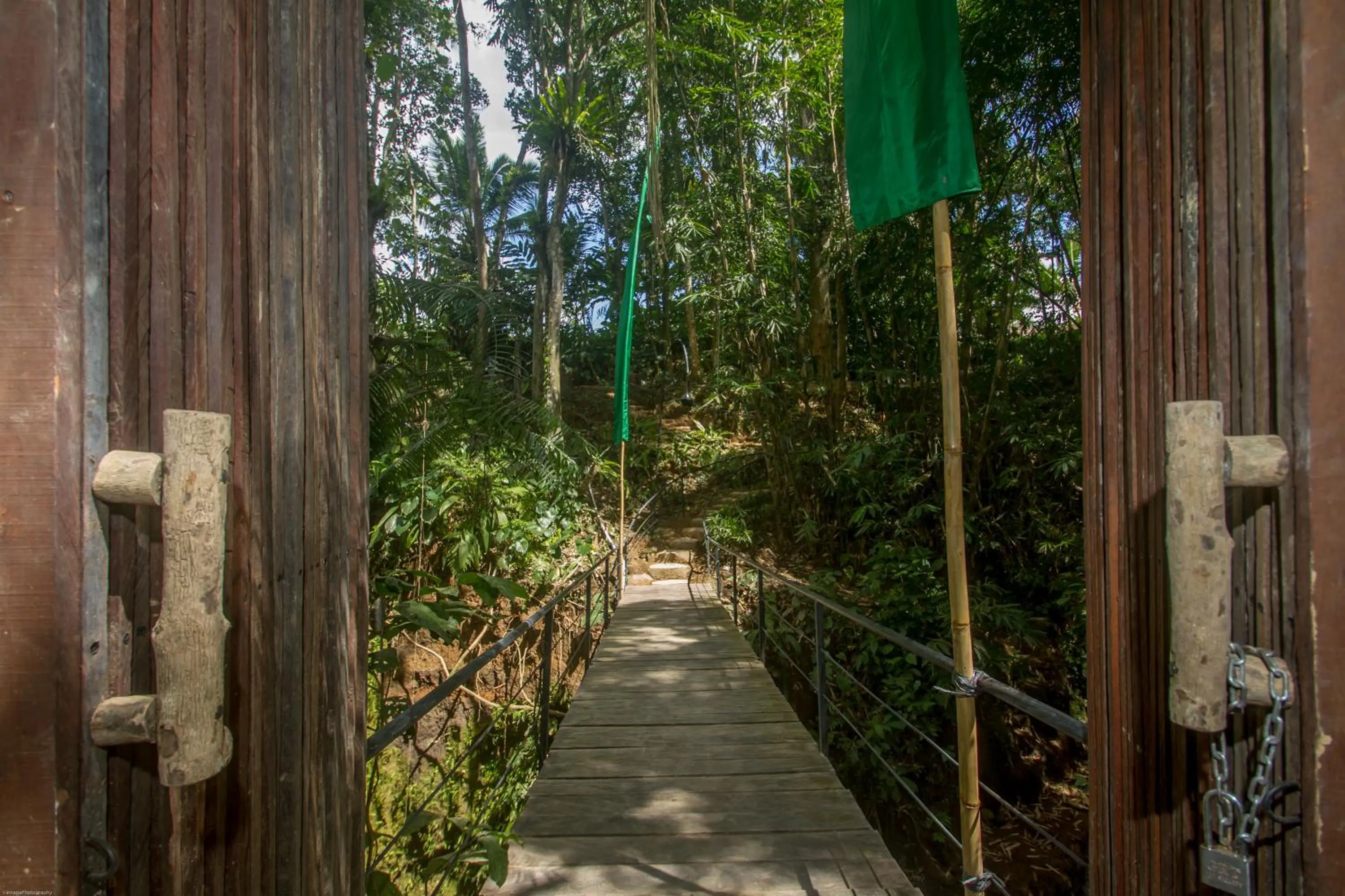 Natural landscape in Sacred Canyon Ubud by GenuineHost