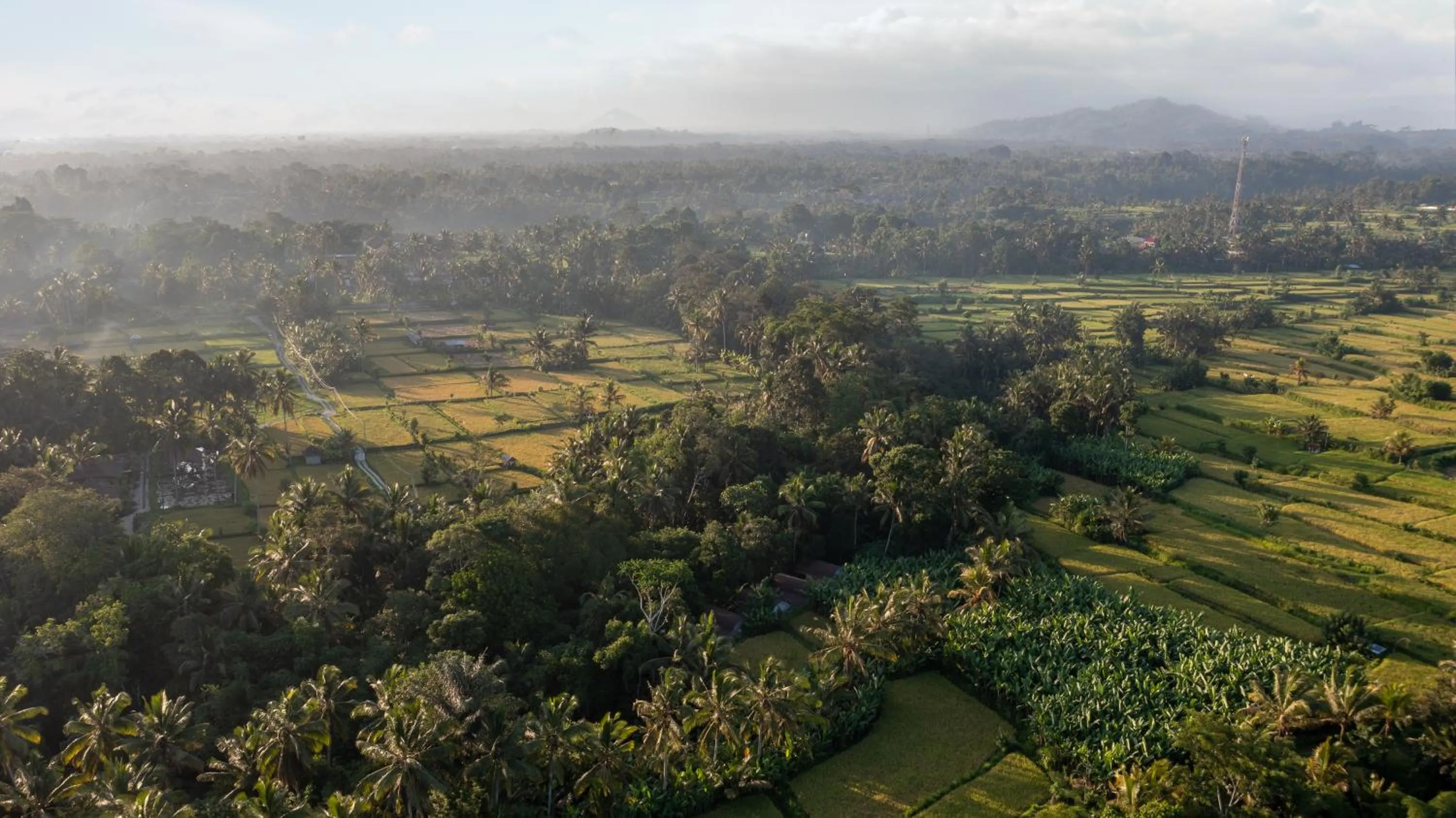 Natural landscape in Sacred Canyon Ubud by GenuineHost