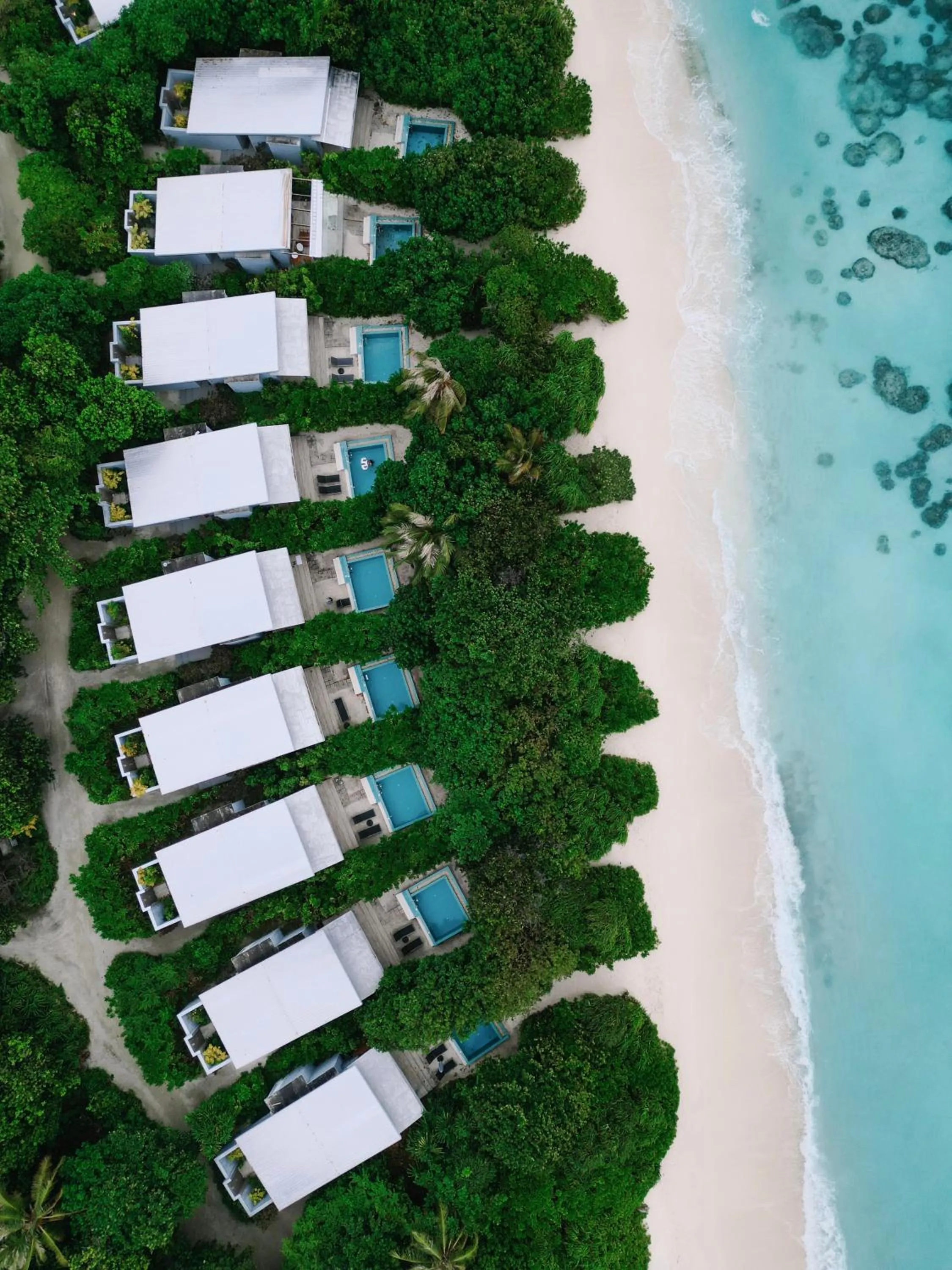 Beach in Ifuru Island Maldives - Domestic Flight Transport for 2 at Half-Price Valid for Min 5 Night Stays Between 20 Apr to 15 Oct 2026