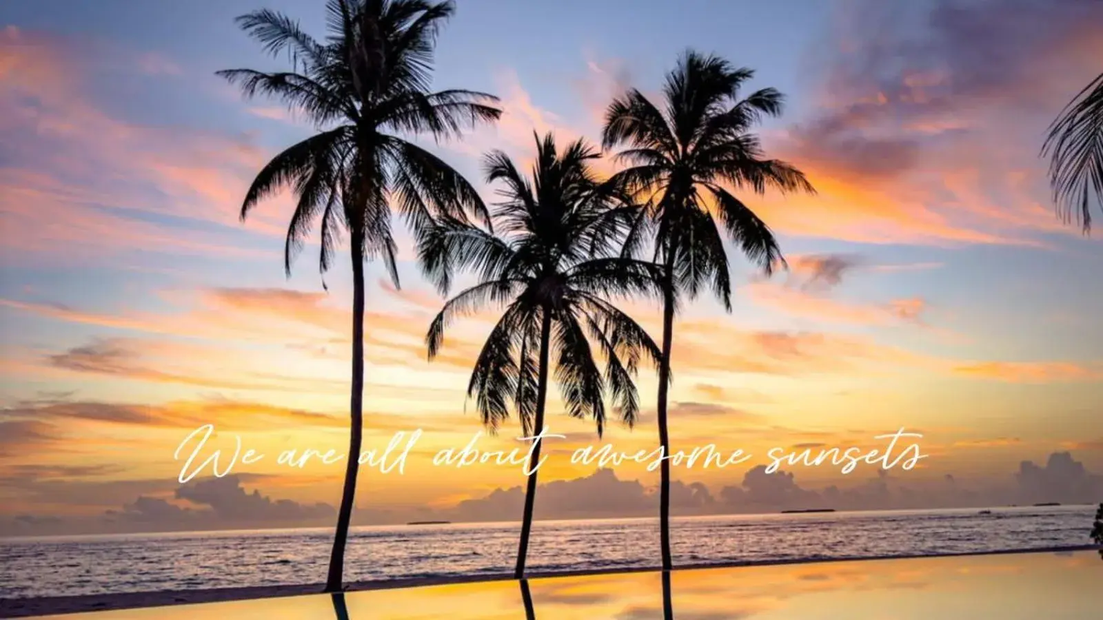 Pool view in Ifuru Island Maldives - Domestic Flight Transport for 2 at Half-Price Valid for Min 5 Night Stays Between 20 Apr to 15 Oct 2026 Pool view in Ifuru Island Maldives - Domestic Flight Transport for 2 at Half-Price Valid for Min 5 Night Stays Between 20 Apr to 15 Oct 2026