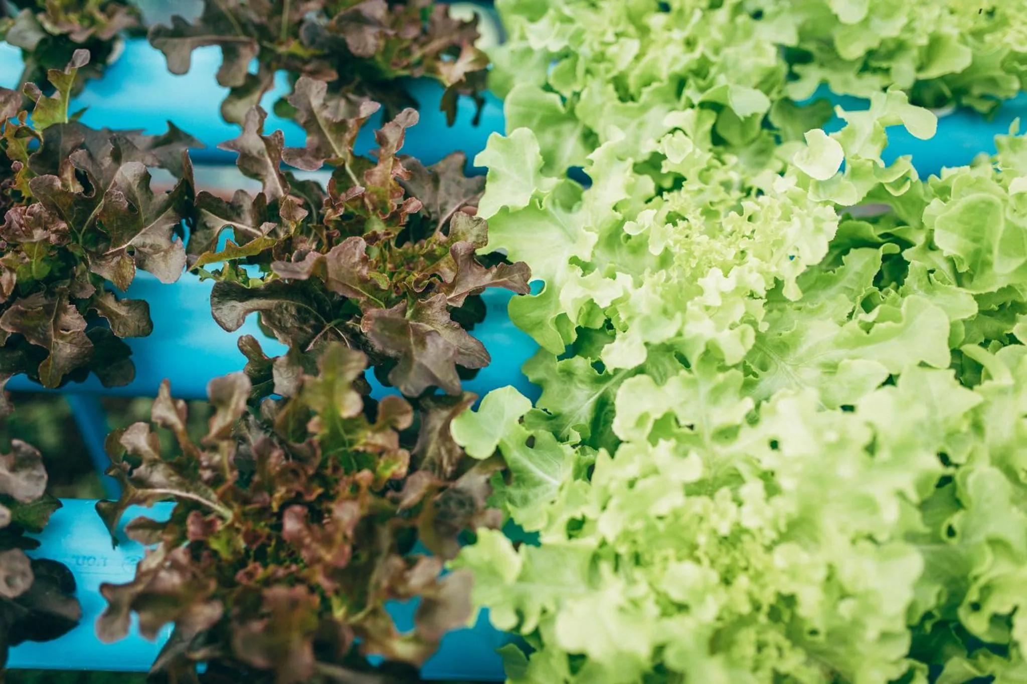 Other in Phoomtada Homestay