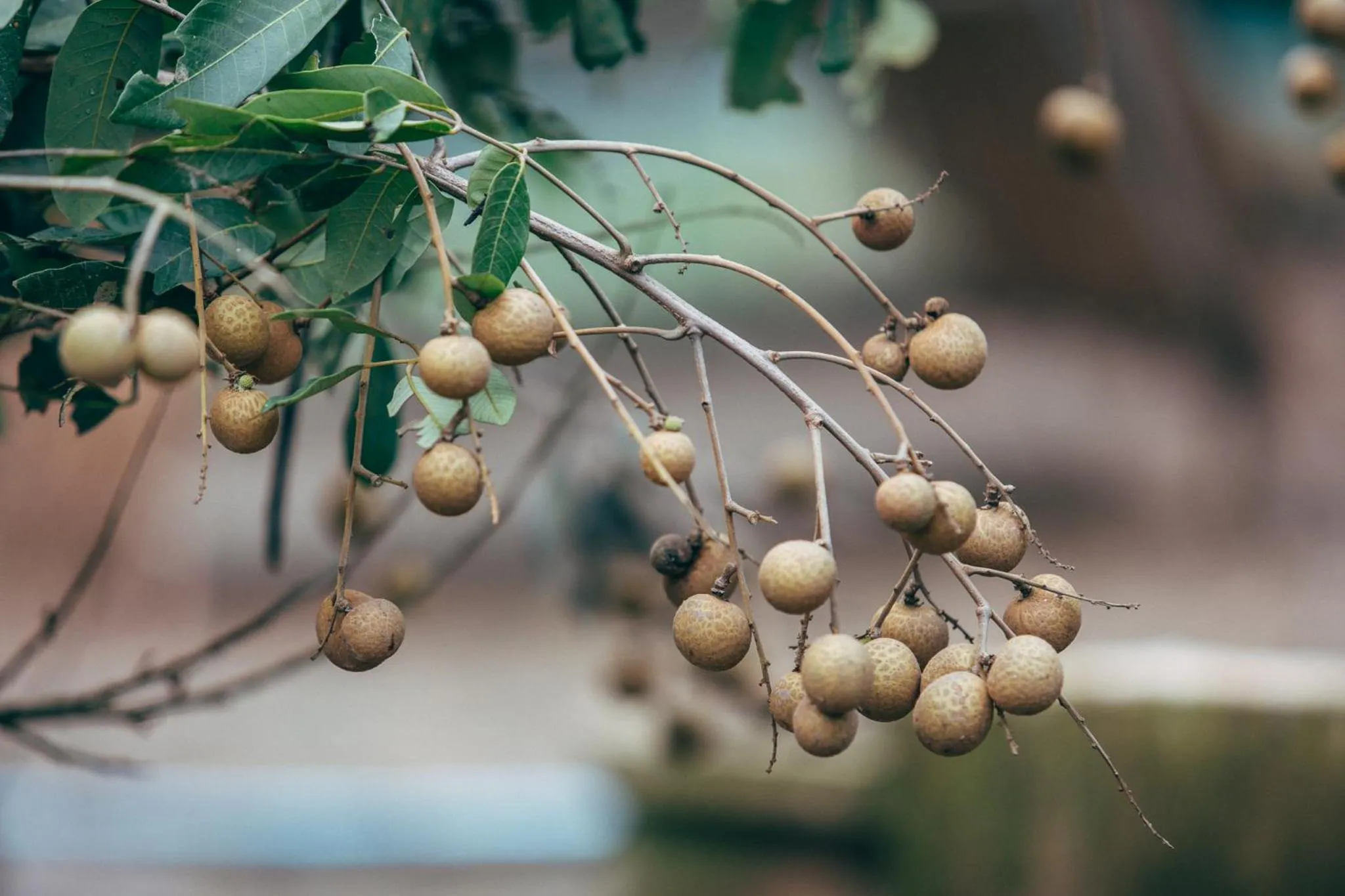 Other in Phoomtada Homestay