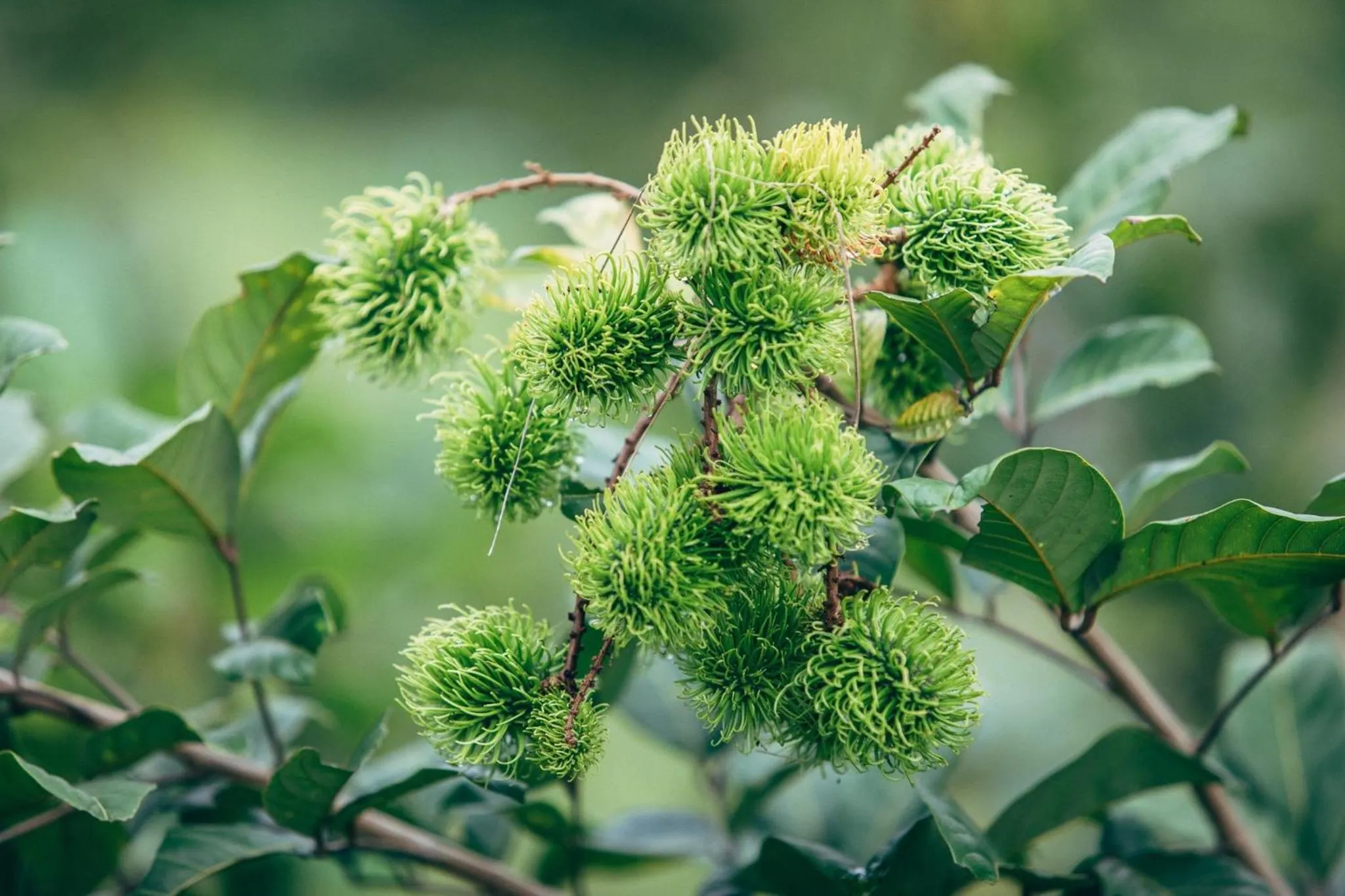 Other in Phoomtada Homestay