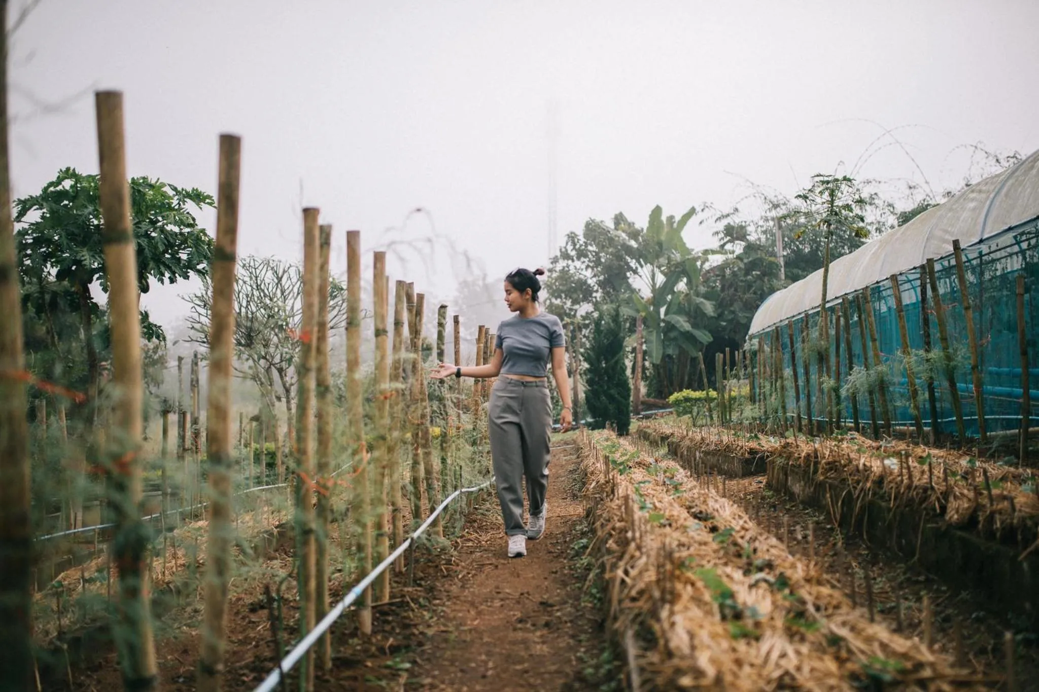 People in Phoomtada Homestay