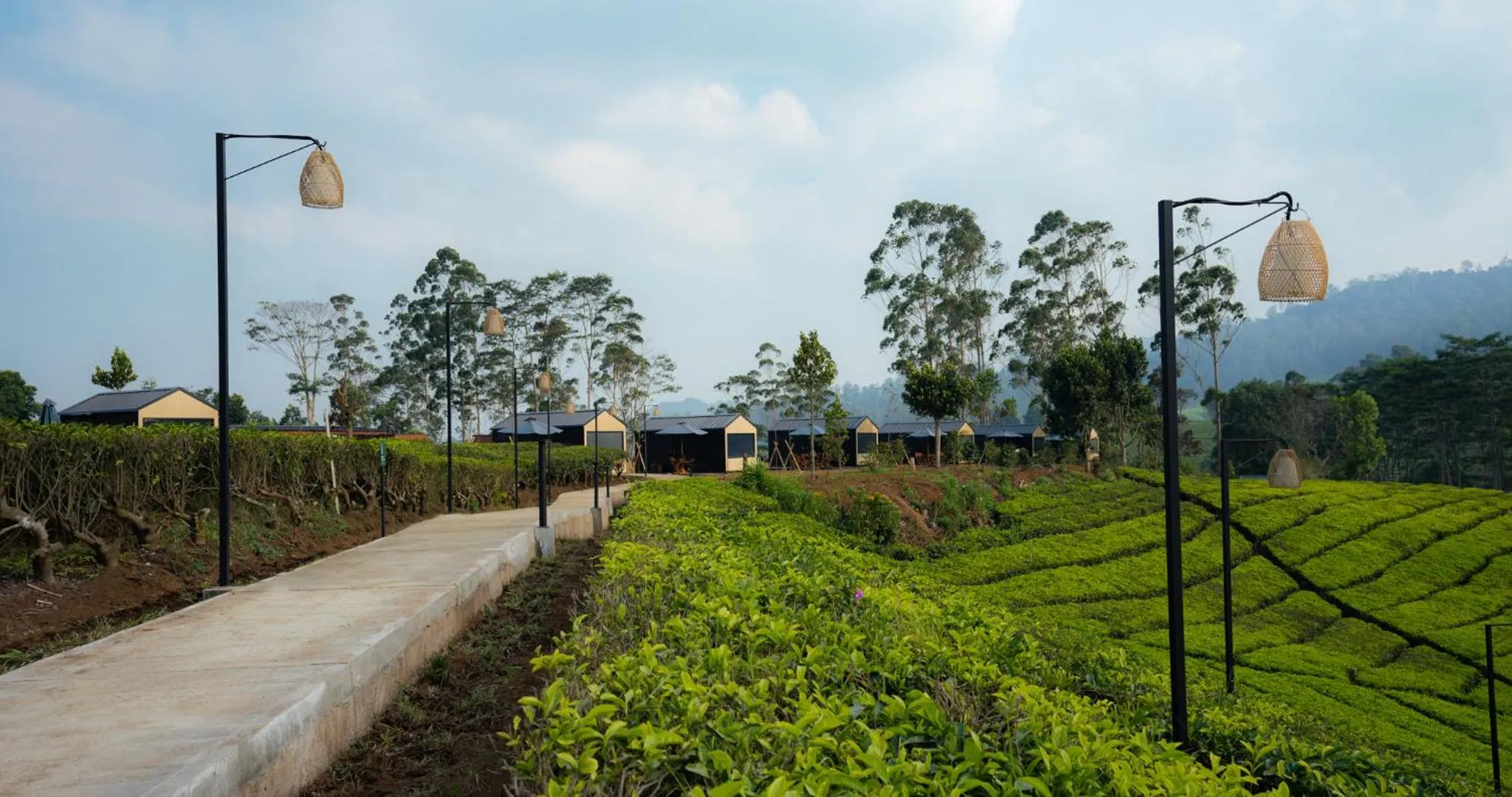 View (from property/room) in Bobocabin Pangalengan, Bandung