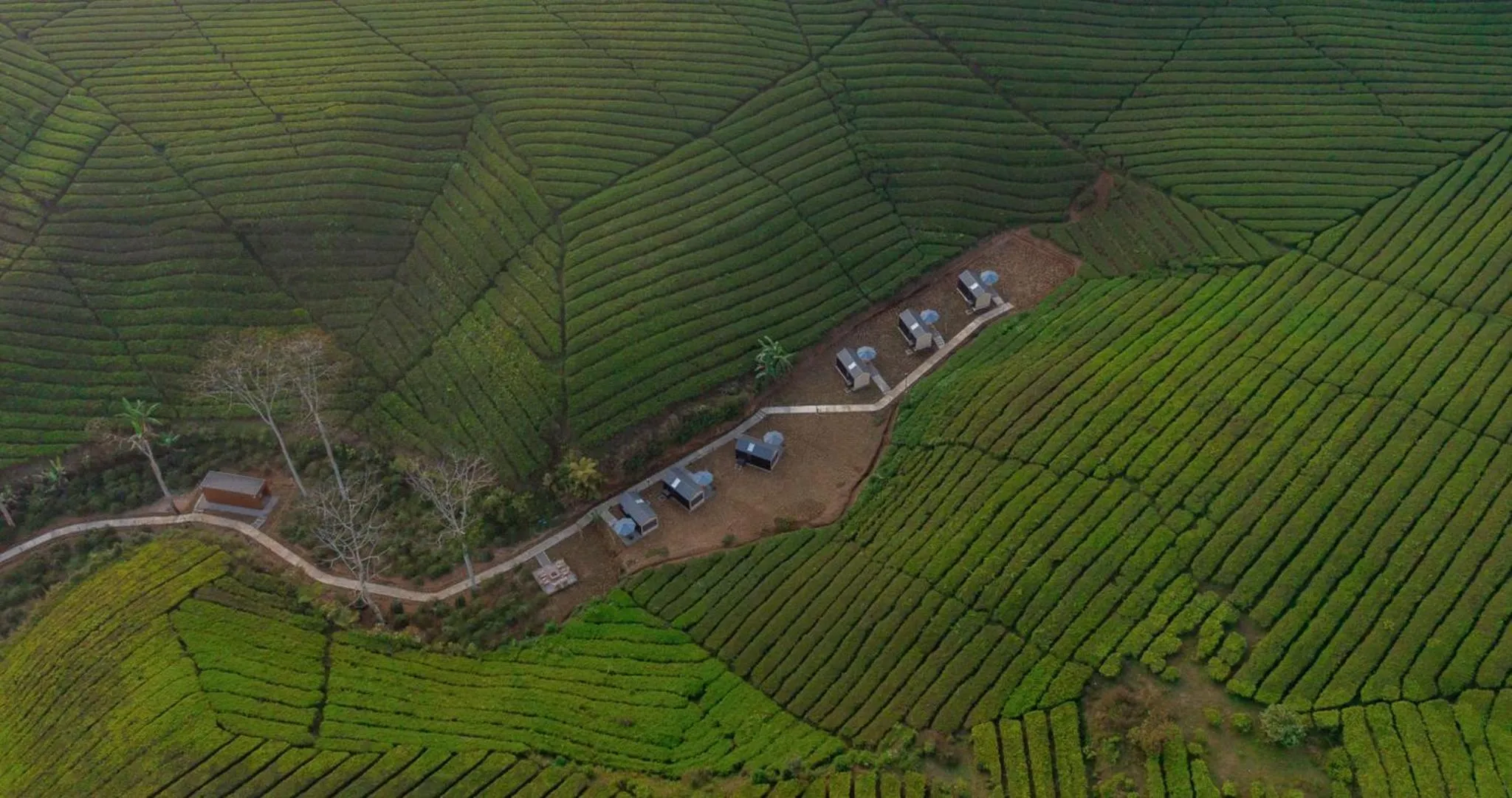 Natural landscape in Bobocabin Pangalengan, Bandung