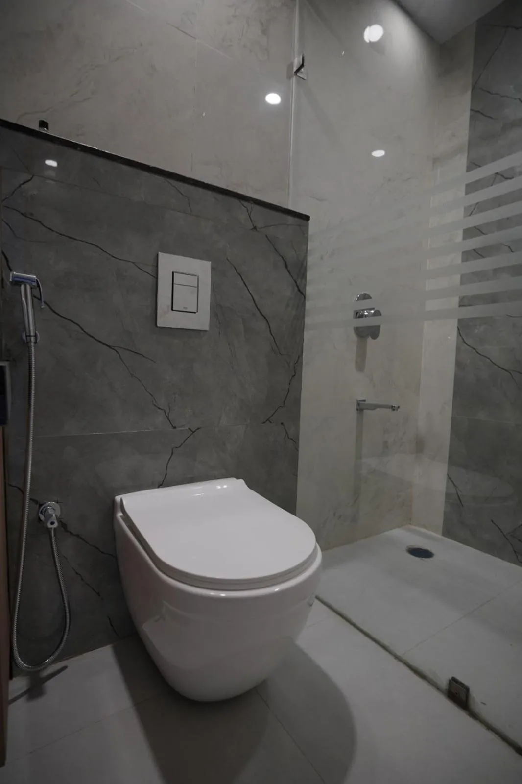 Toilet in Hotel Krishna Inn