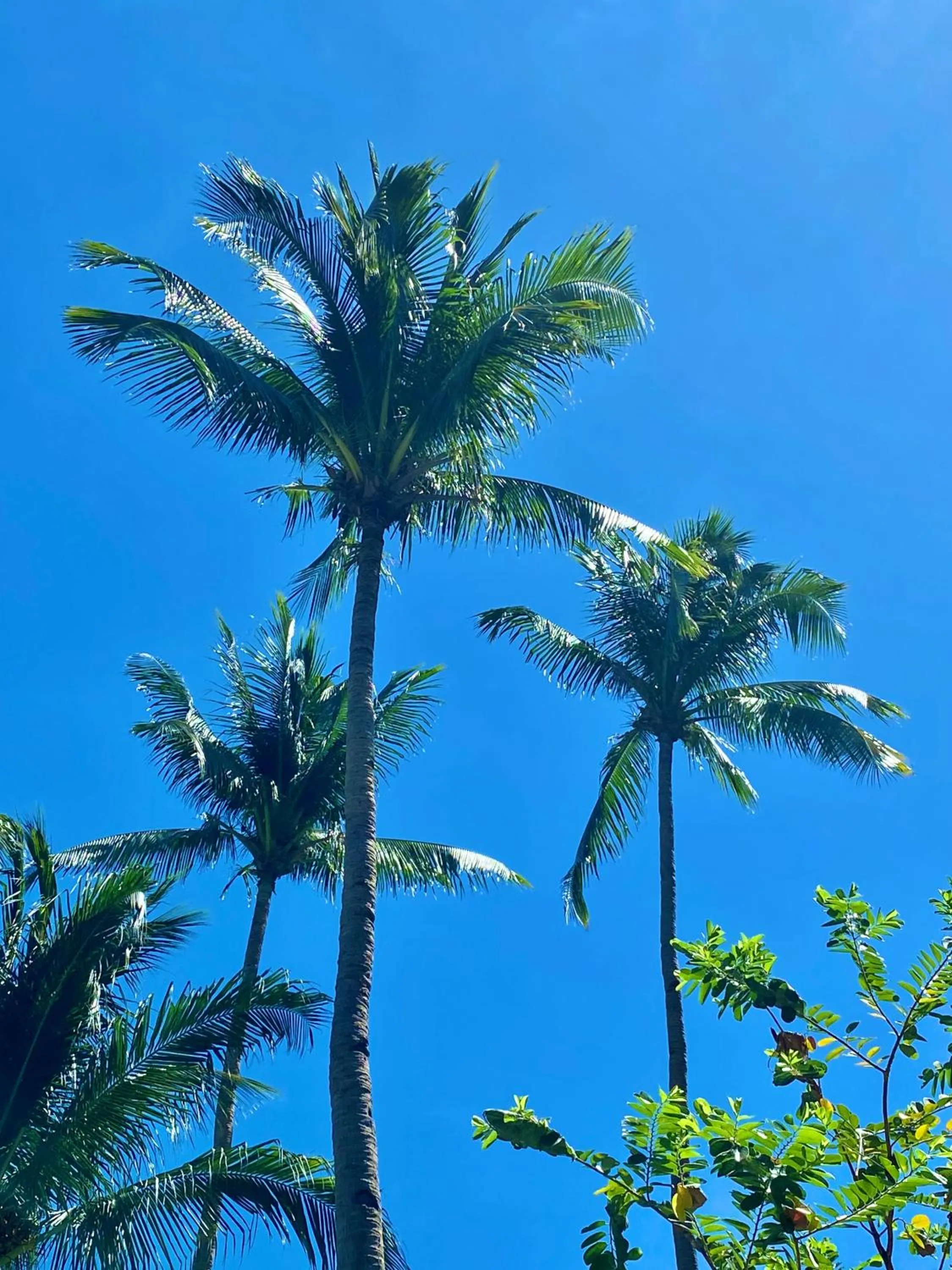 Playa La Caleta Bataan