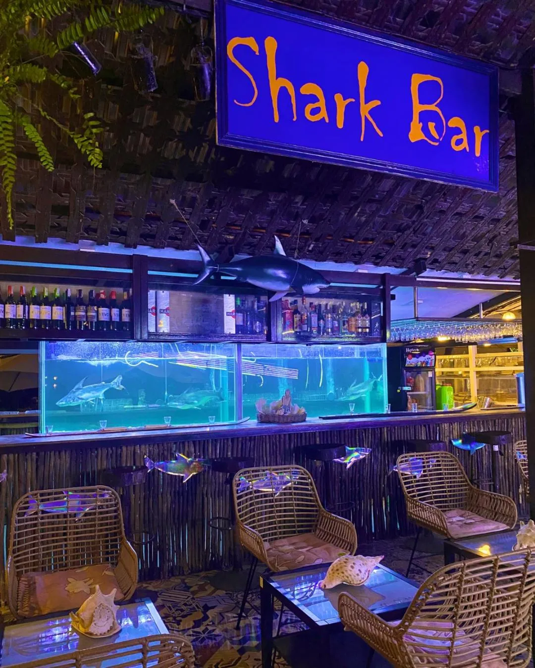 Playa La Caleta Bataan