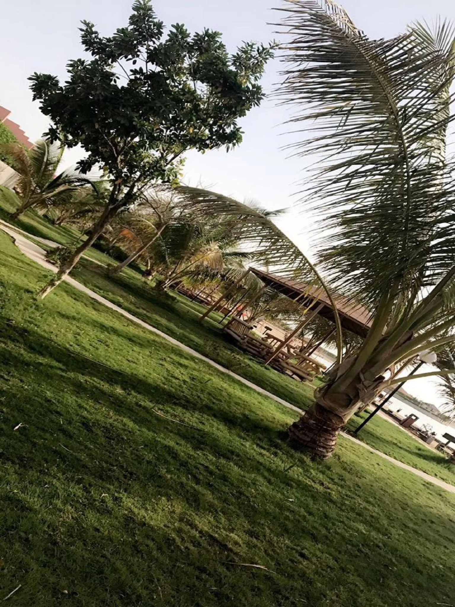 Natural landscape in Hotel & Resort Golden Marina Yanbu