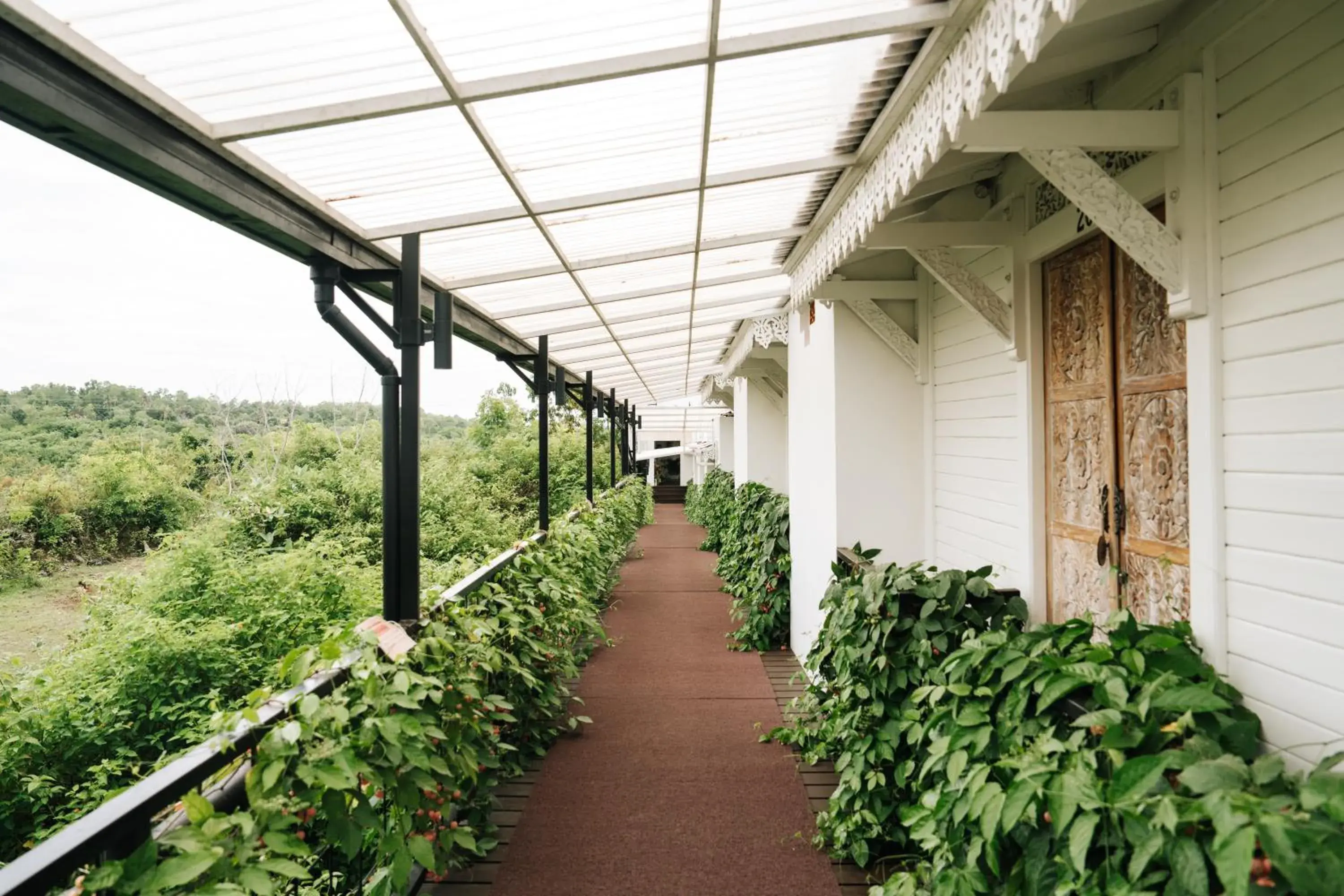 Mambo Hill Resort Mambo Hill Resort