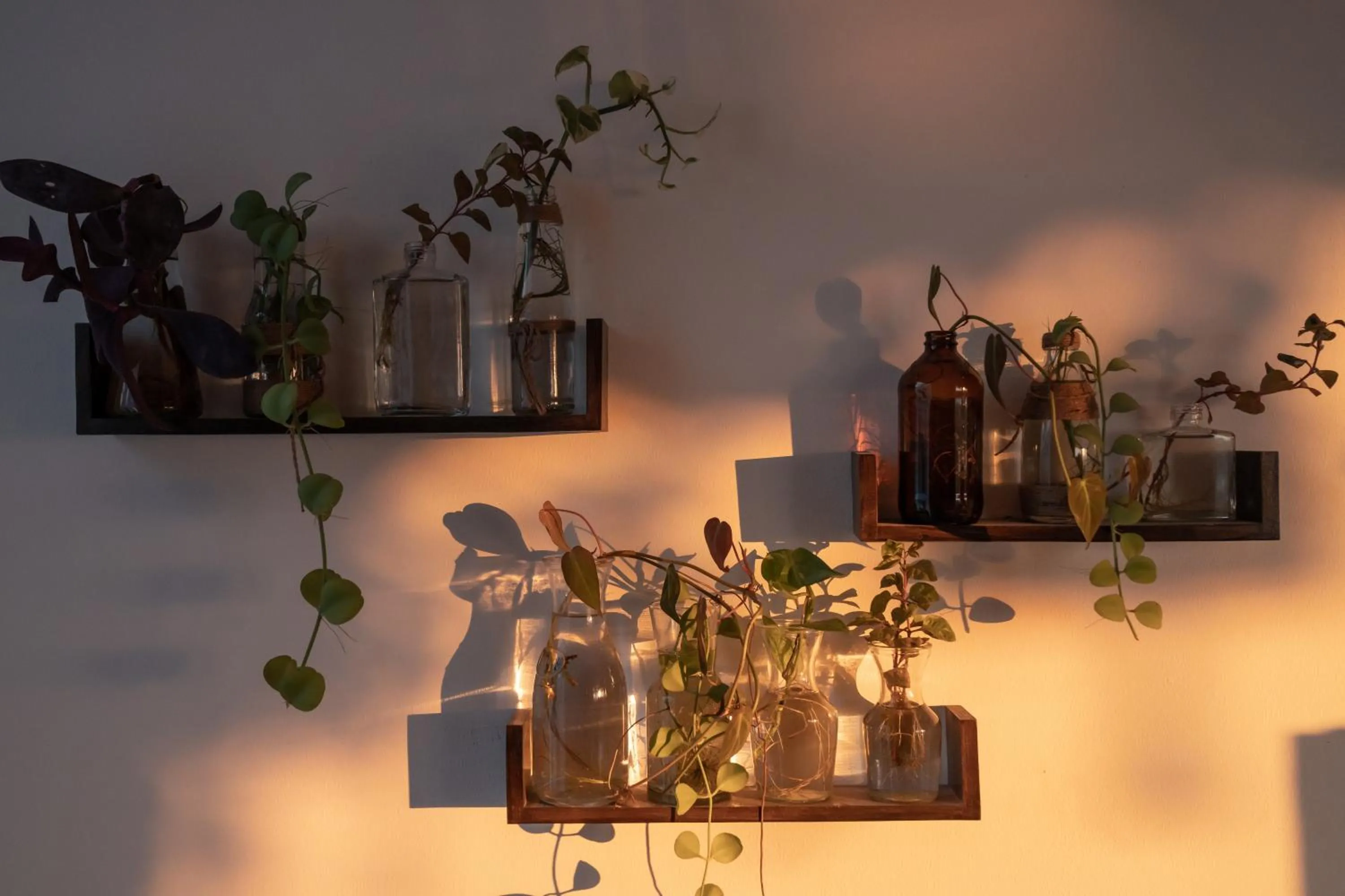 Decorative detail in Mambo Hill Resort