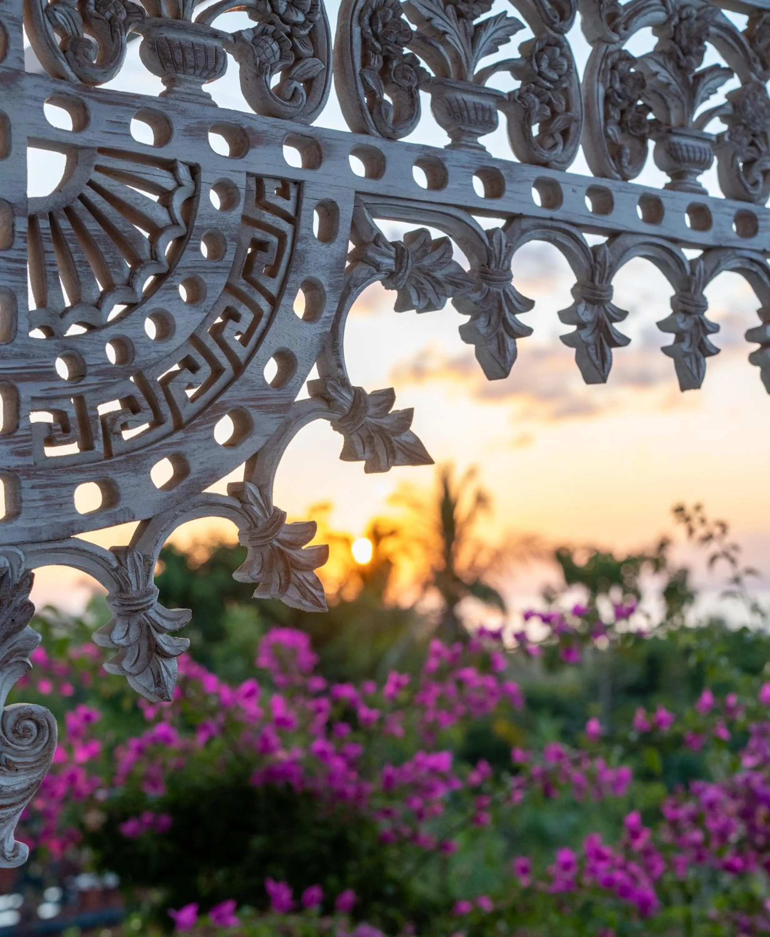 Garden in Mambo Hill Resort