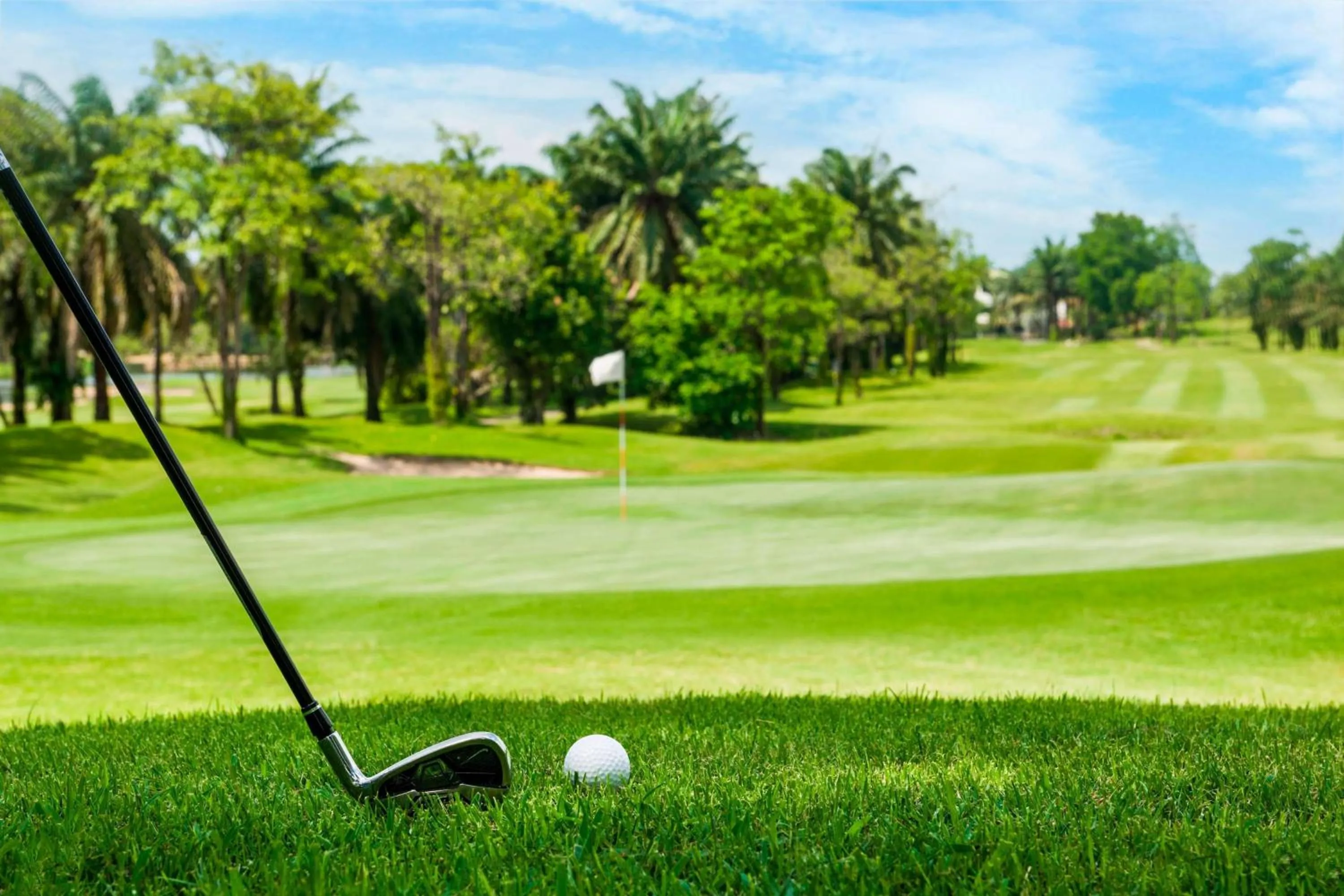 Other in Le Meridien Suvarnabhumi, Bangkok Golf Resort and Spa