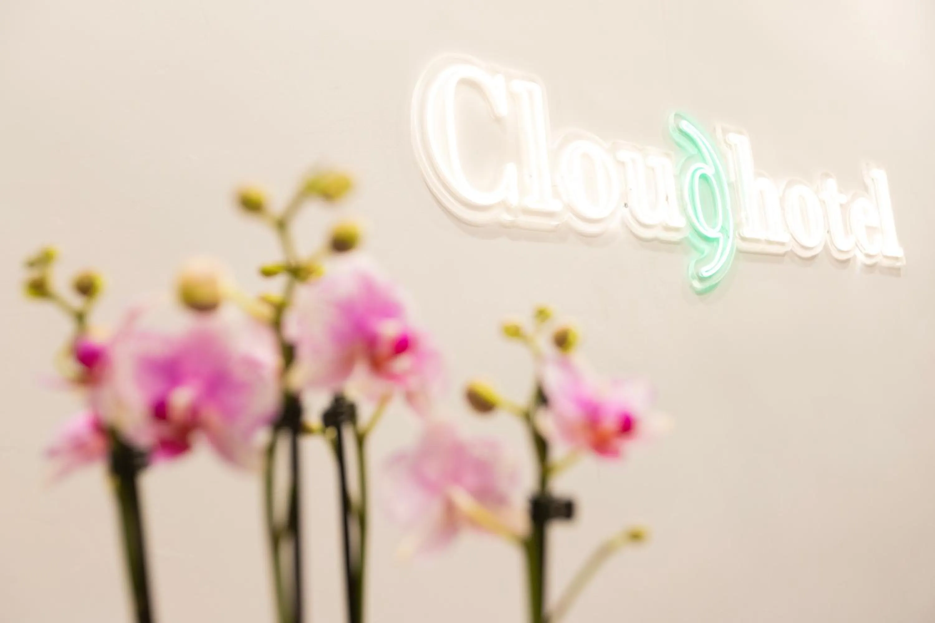 Property logo or sign in Cloud 9 Hotel