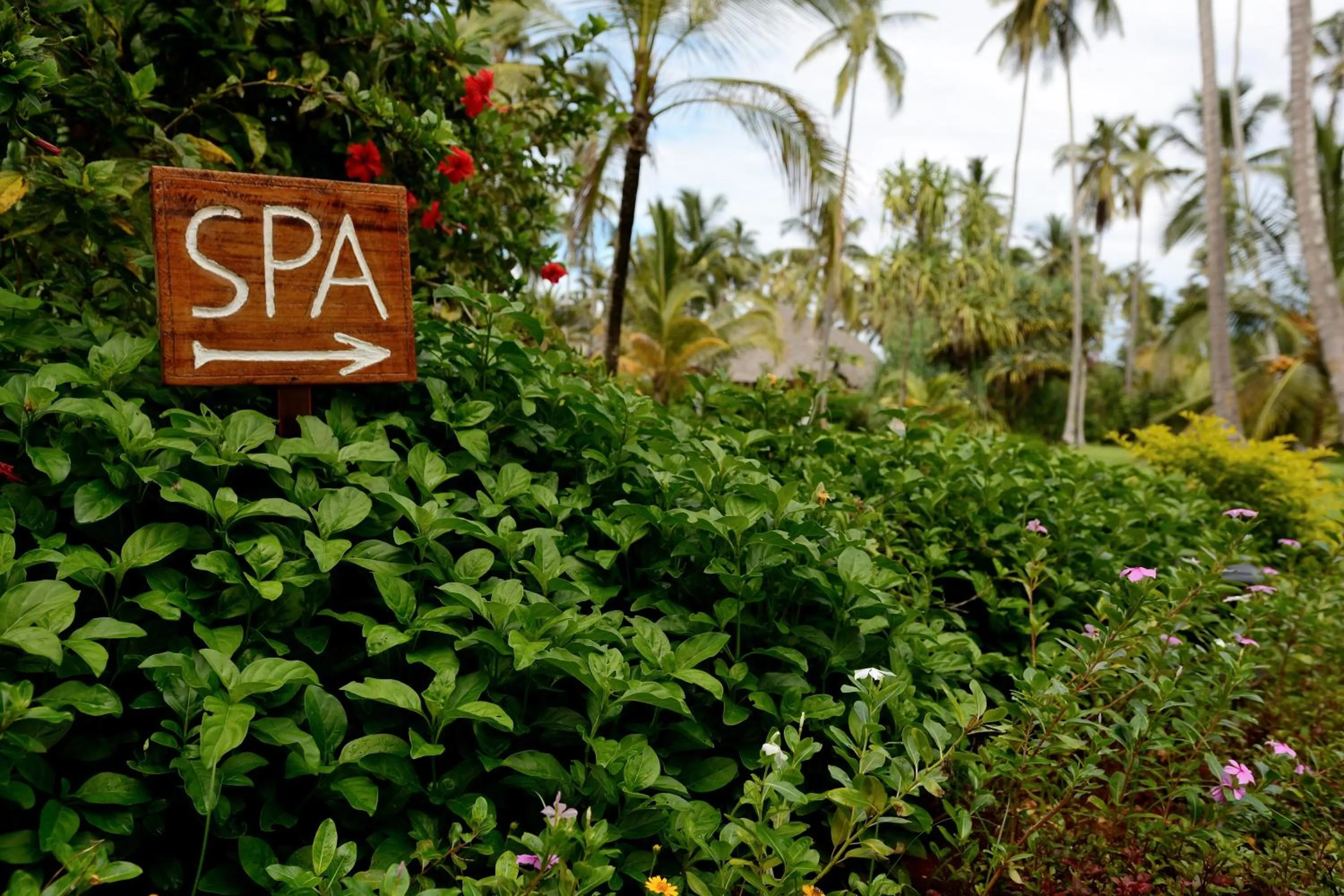 Spa and wellness centre/facilities in Ocean Paradise Resort & Spa