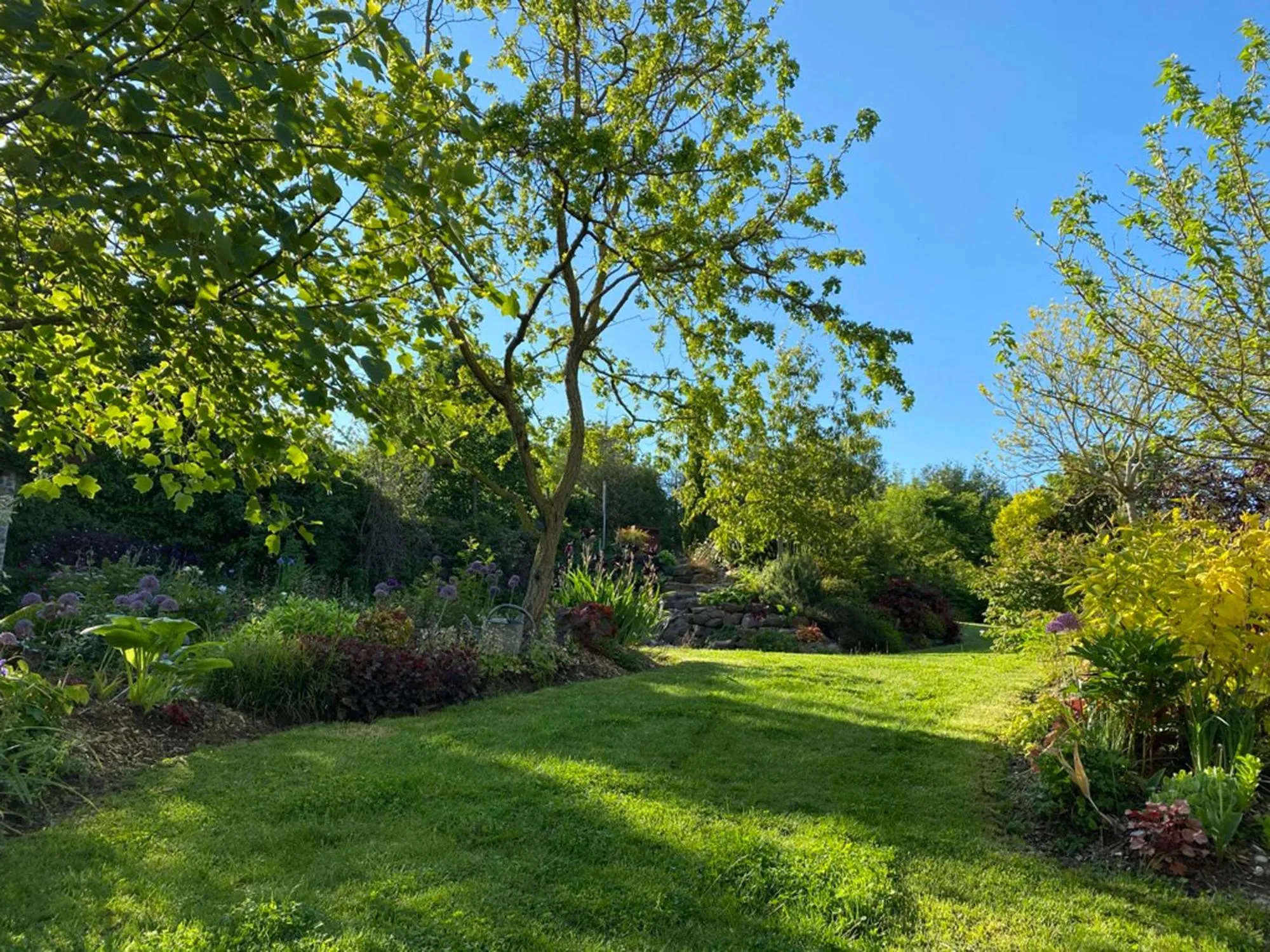 Garden view in L'école des garçons