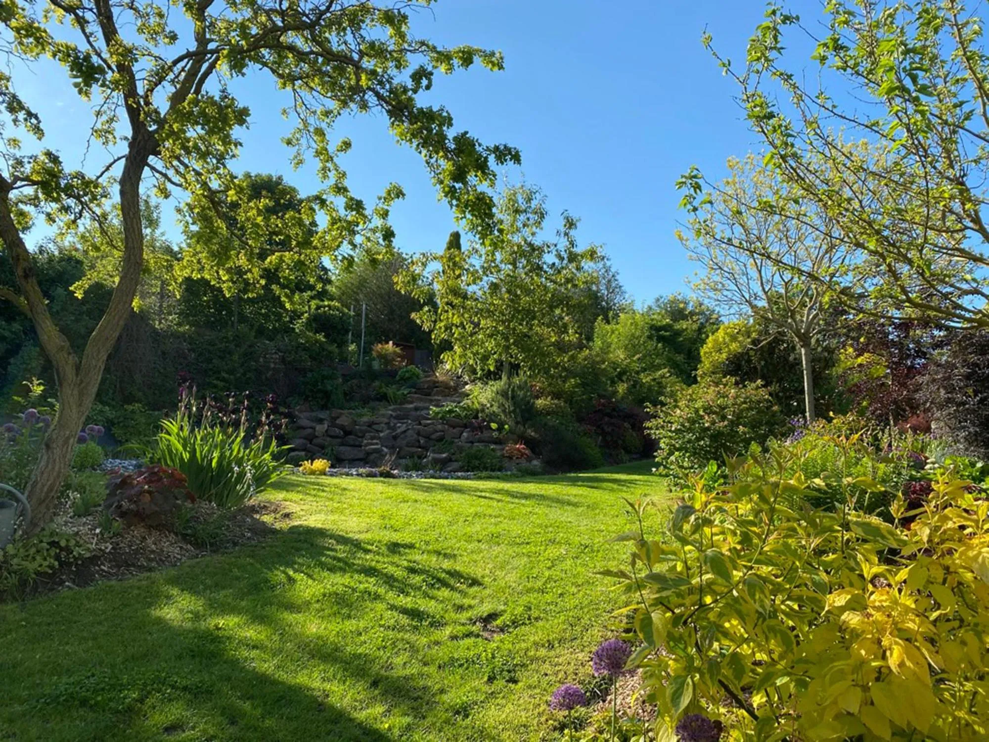 Garden view in L'école des garçons
