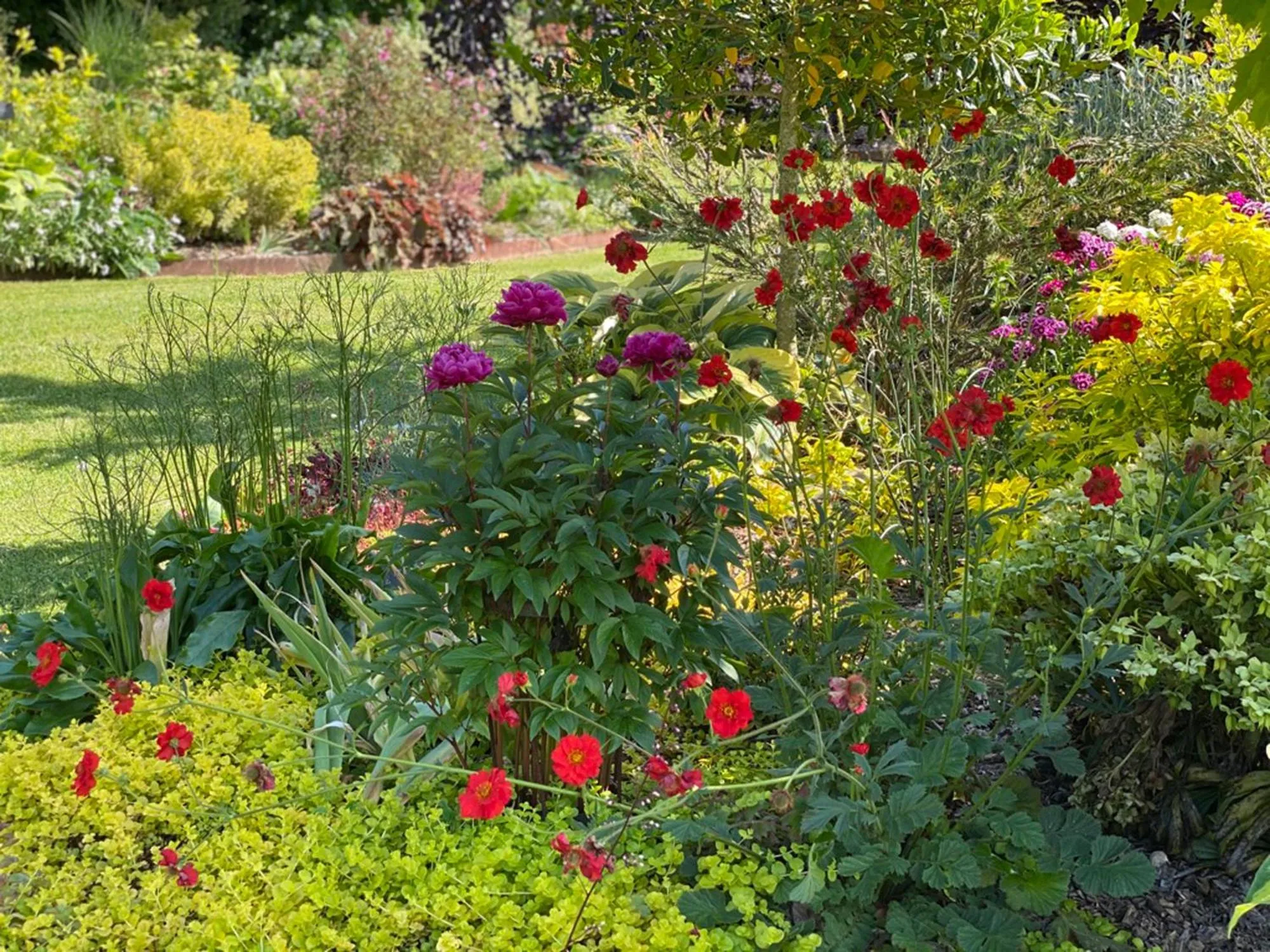 Garden view in L'école des garçons