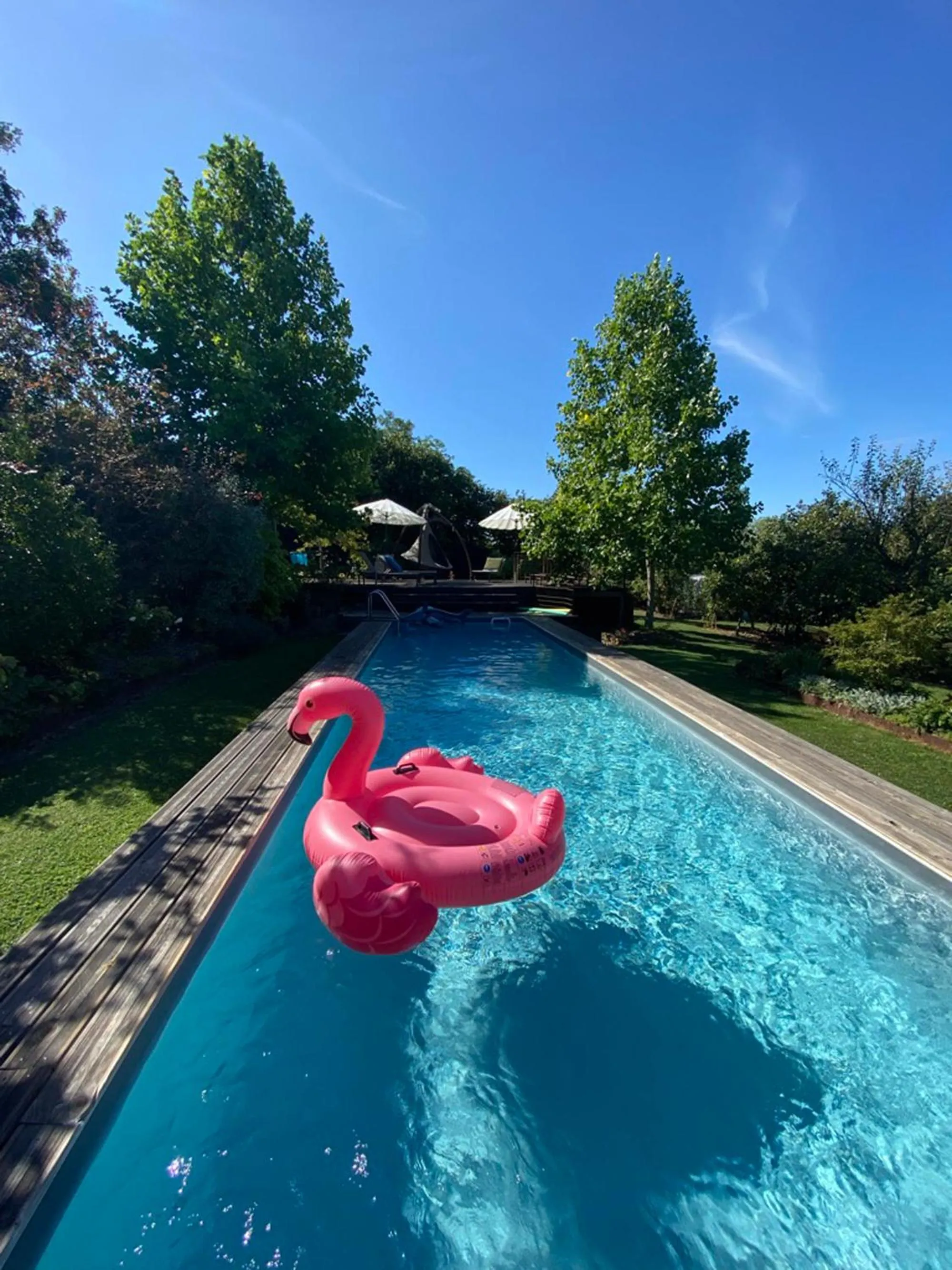Swimming pool in L'école des garçons