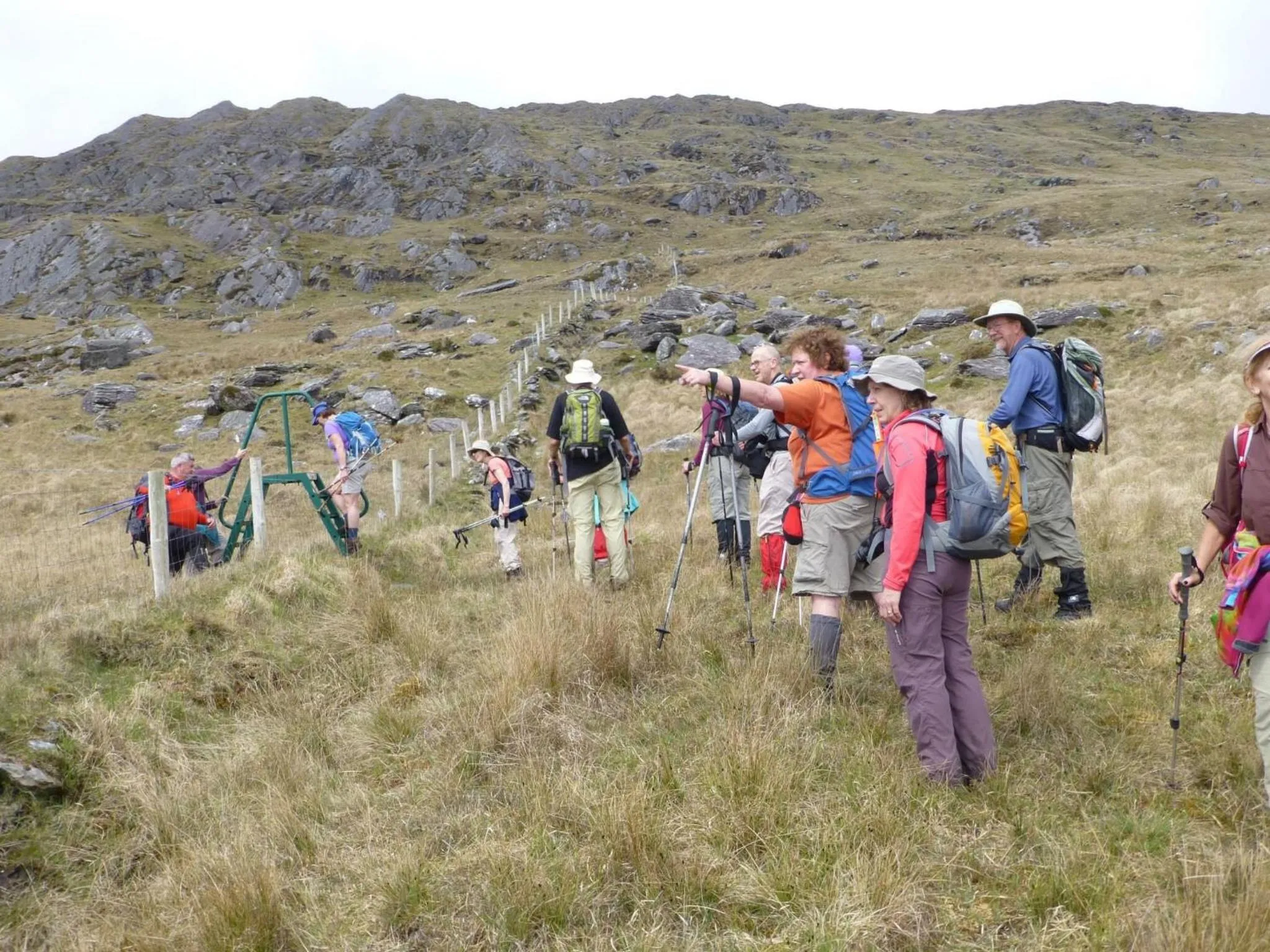 Natural landscape in Island View House