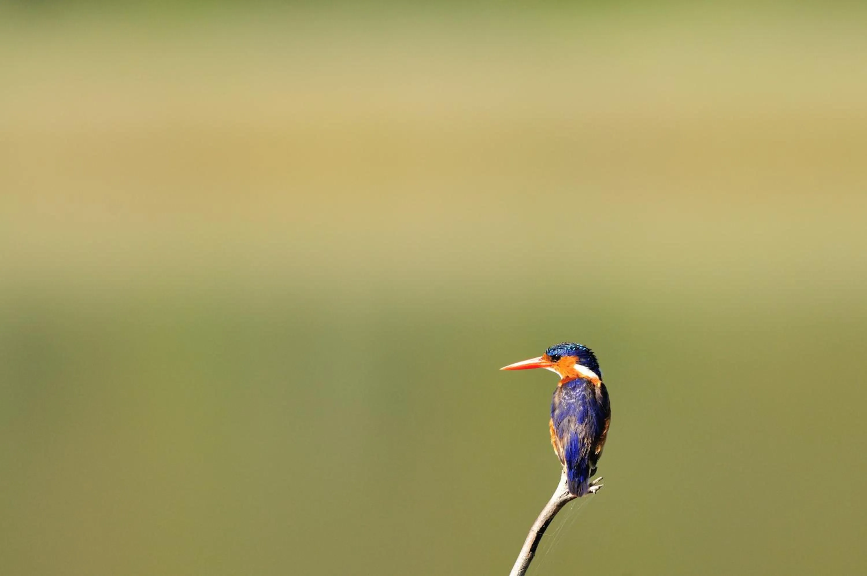 Activities in Beside Still Waters