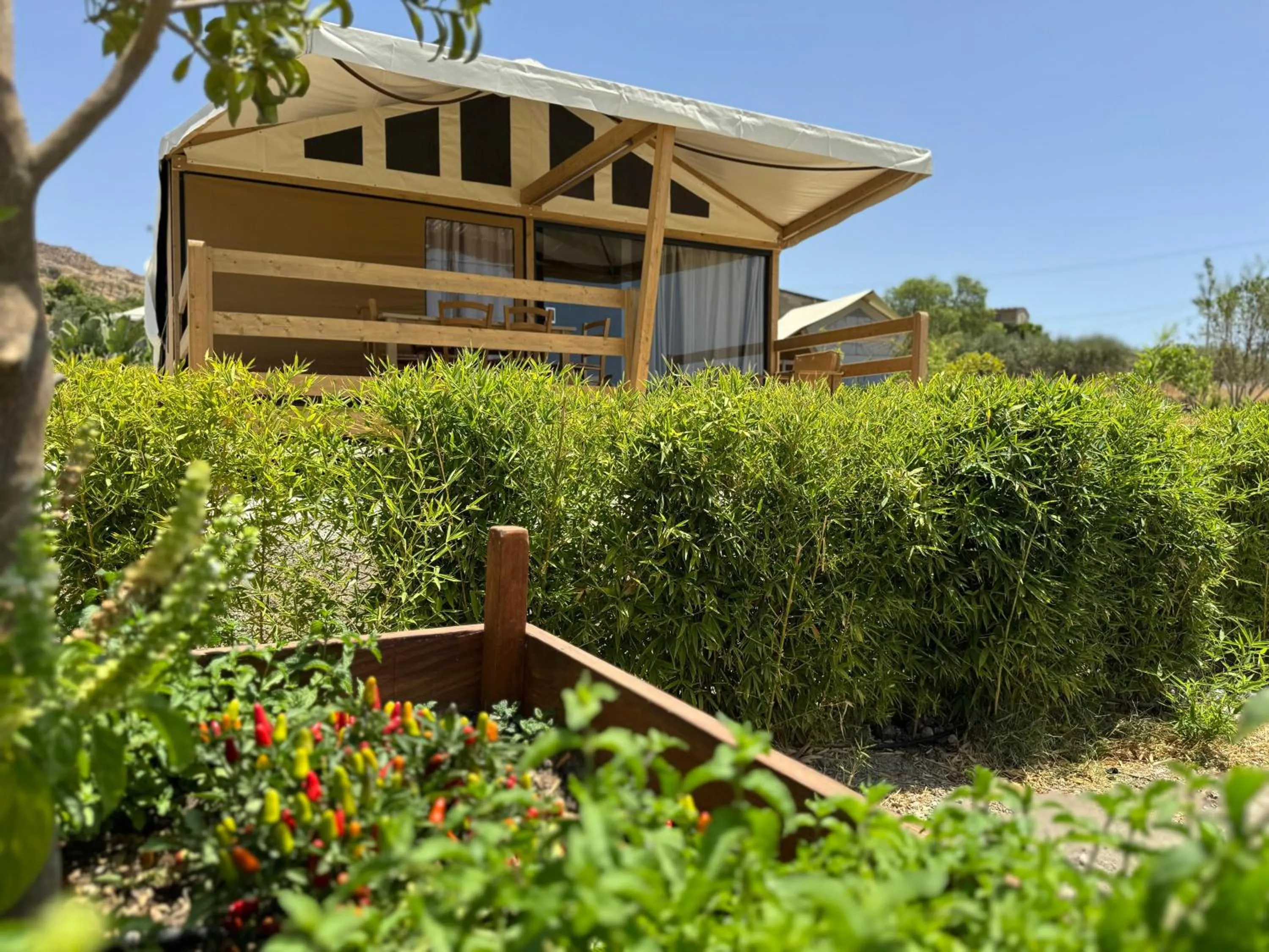 Property building in Terreforti Luxury Village