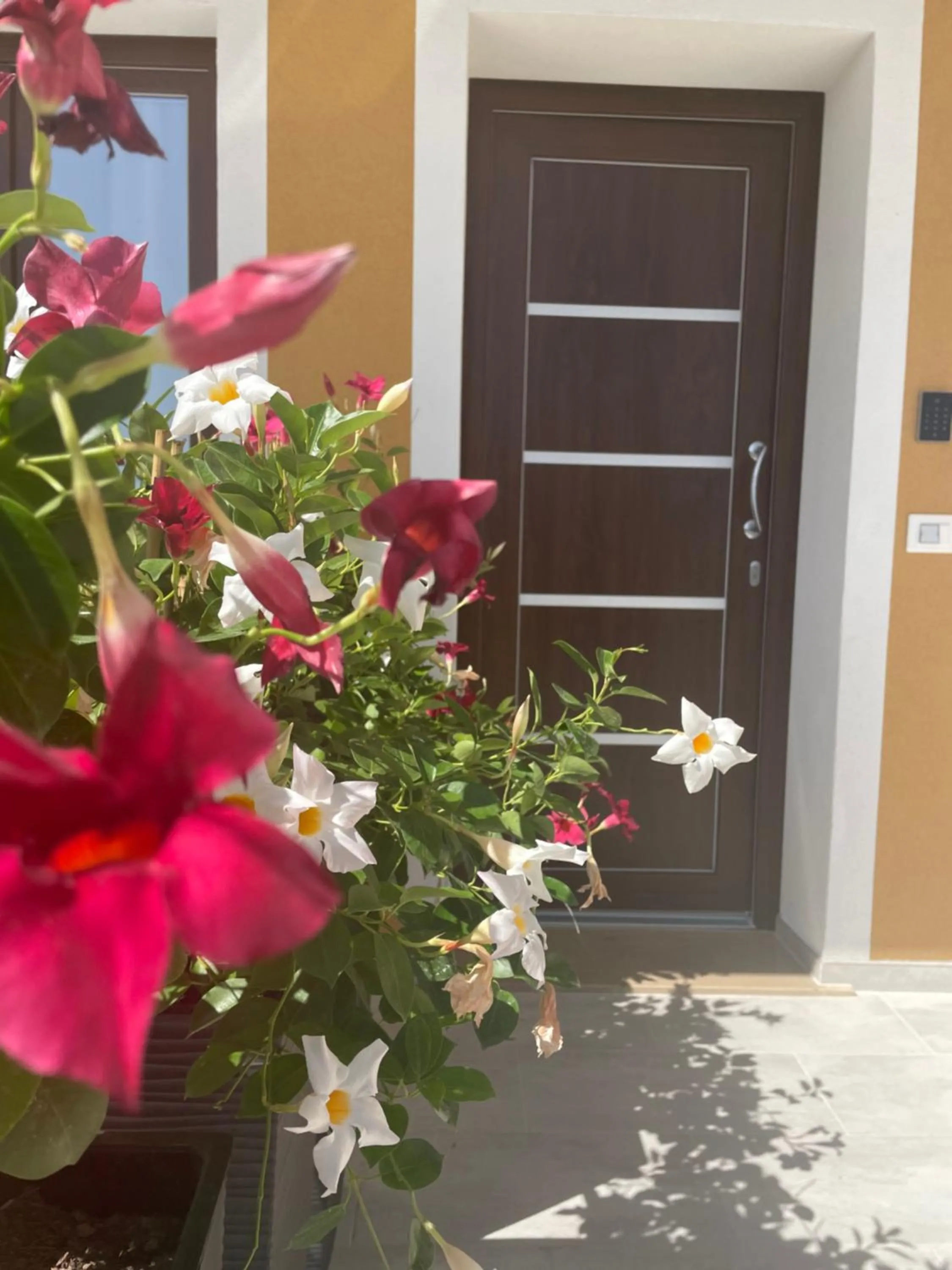 Property building in B&B MargAni Tropea