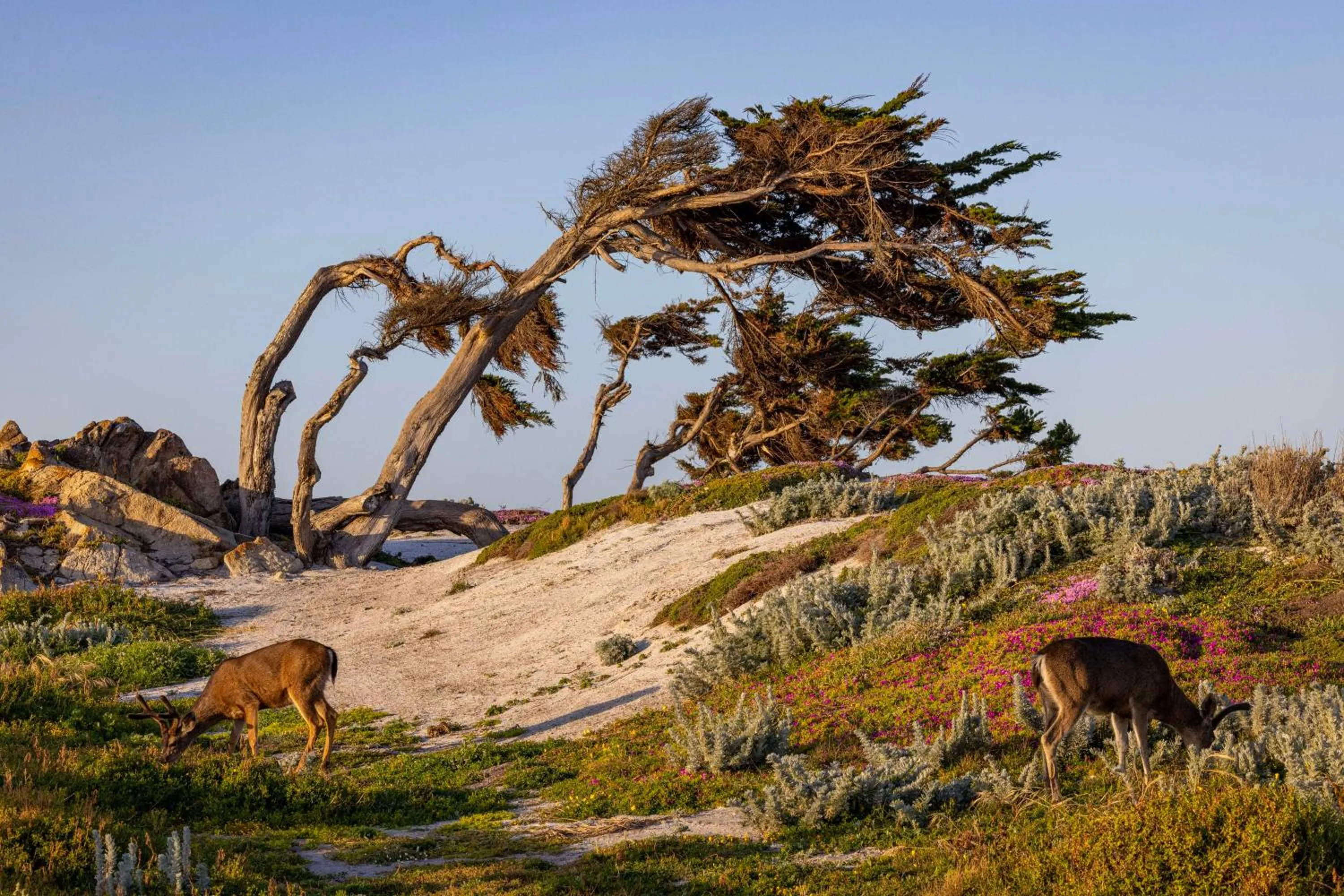Beach in Home2 Suites By Hilton Marina