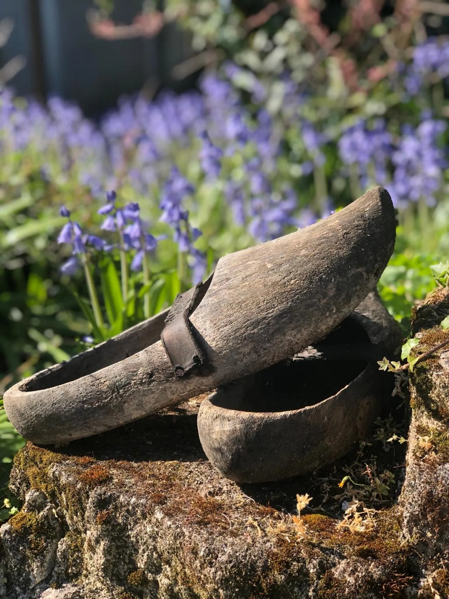 Garden in La Gomerie Chambres d'Hotes