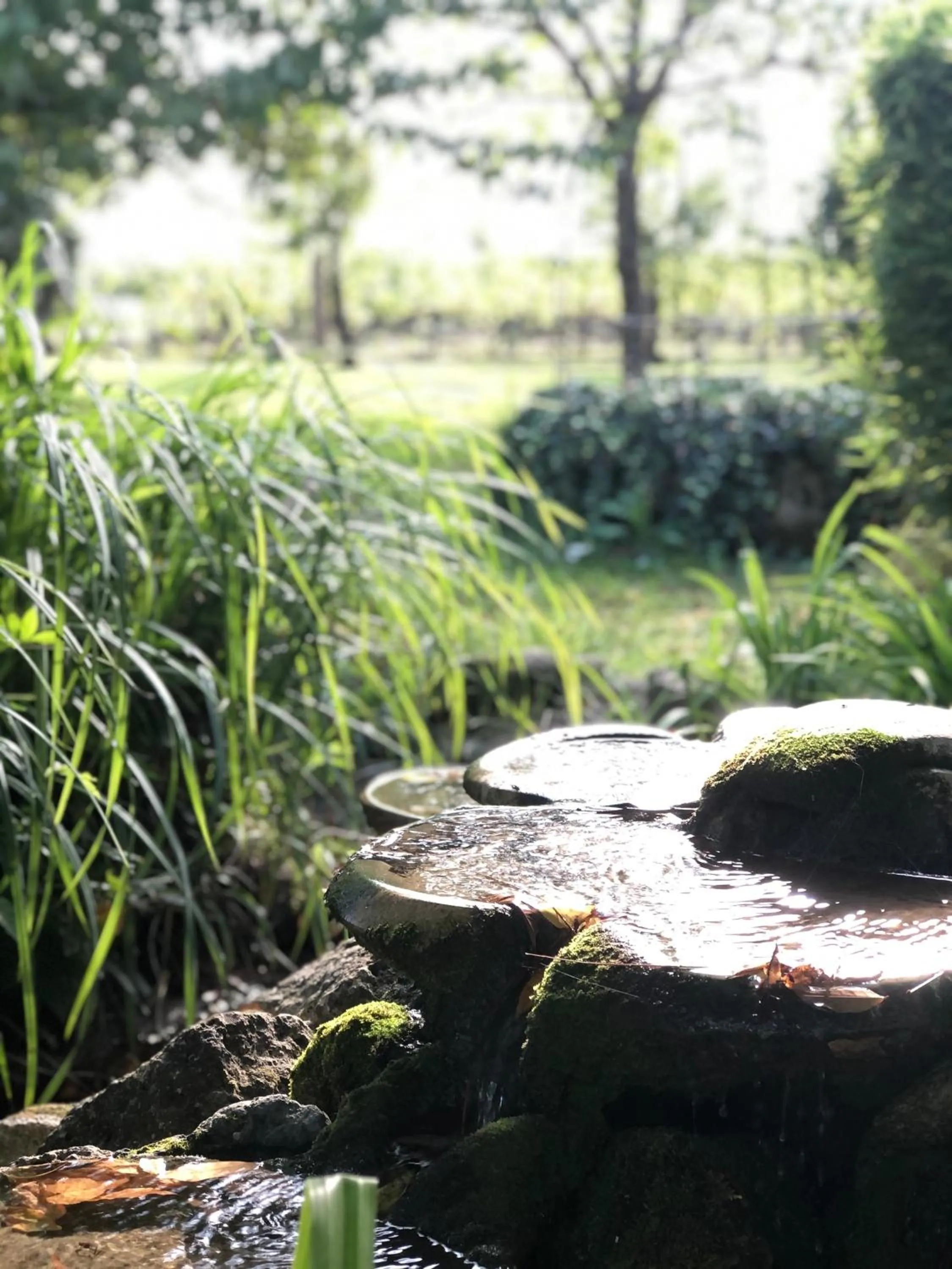 Garden in La Gomerie Chambres d'Hotes